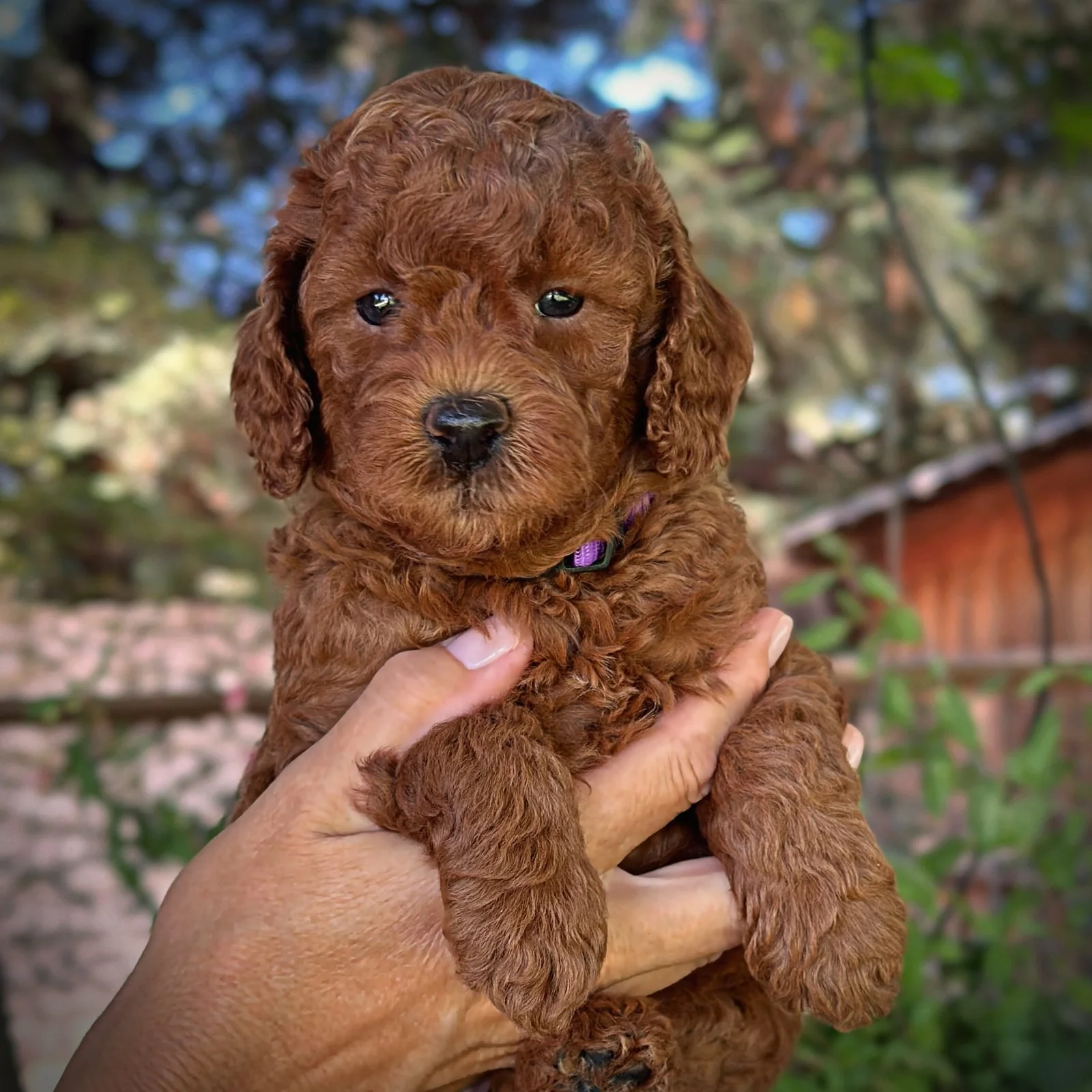 5 Weeks Old!