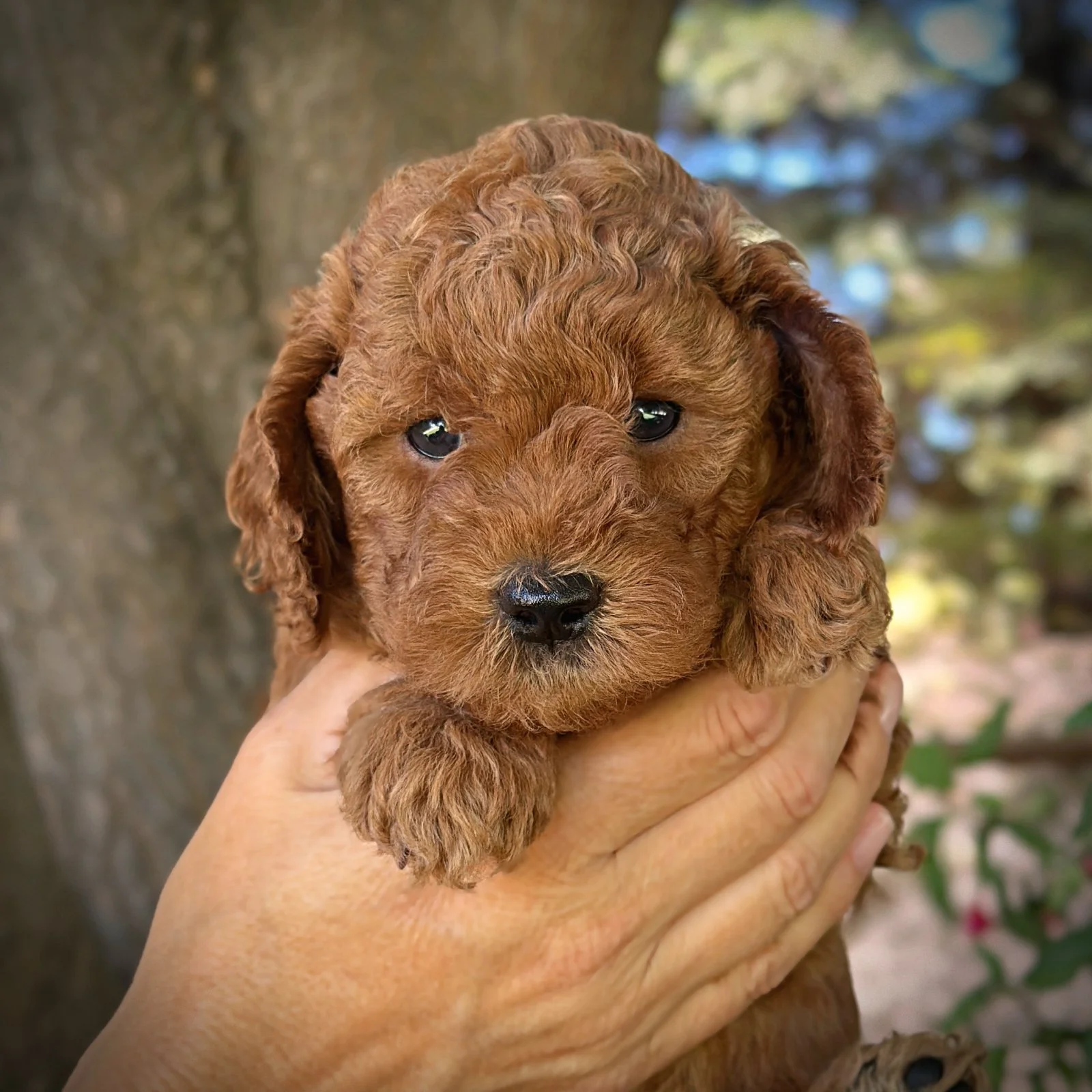 5 Weeks Old!