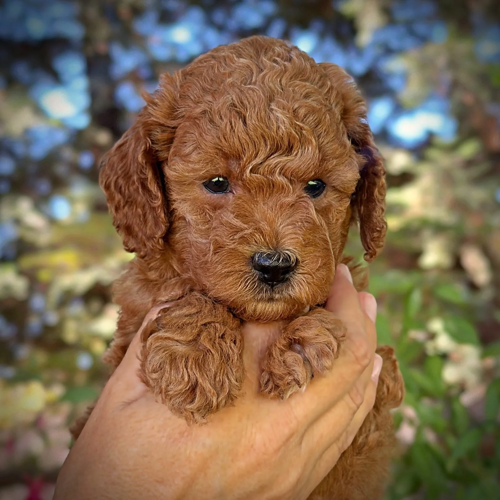 5 Weeks Old!