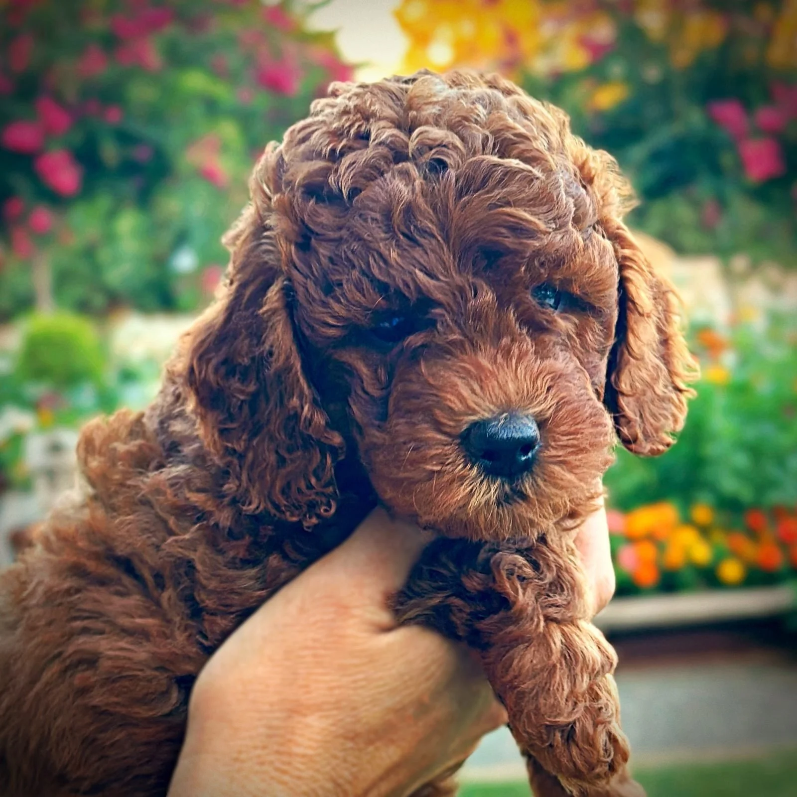 6 Weeks Old!