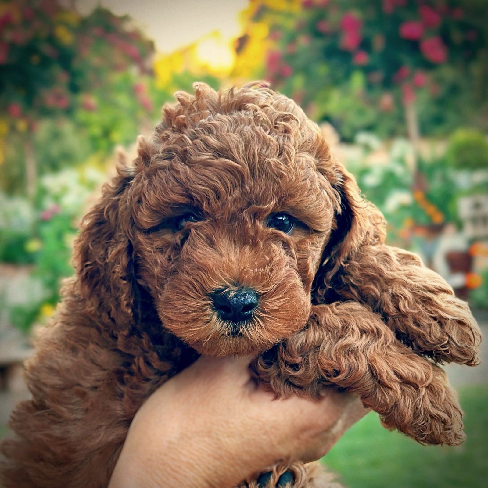 6 Weeks Old!