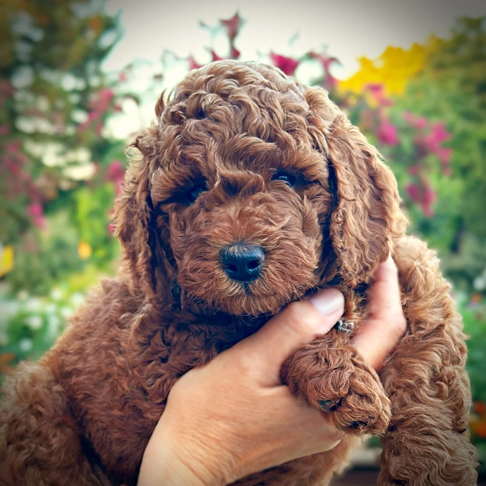6 Weeks Old!