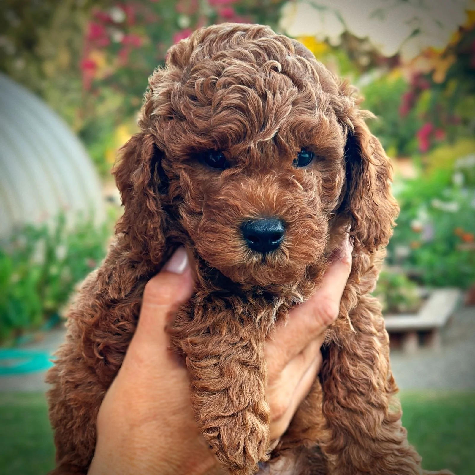 6 Weeks Old!