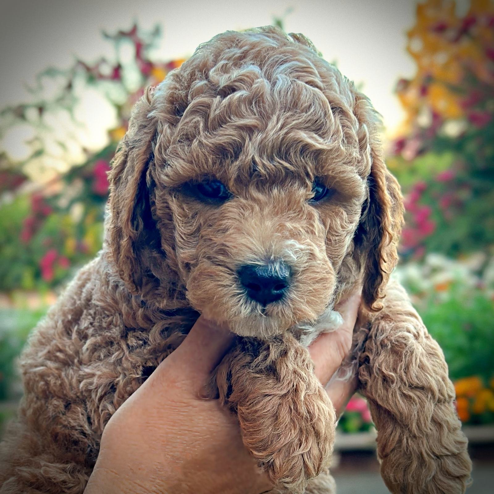 6 Weeks Old!