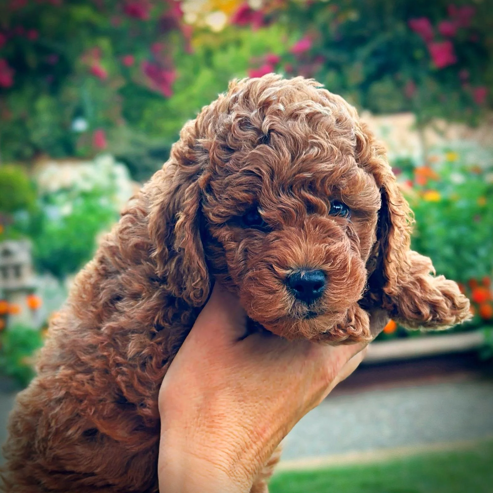 6 Weeks Old!