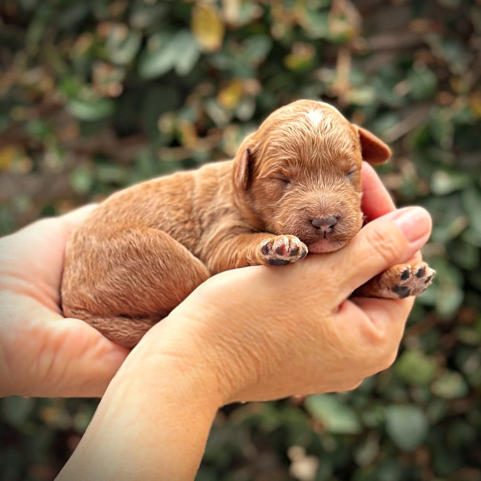 1 Week Old!