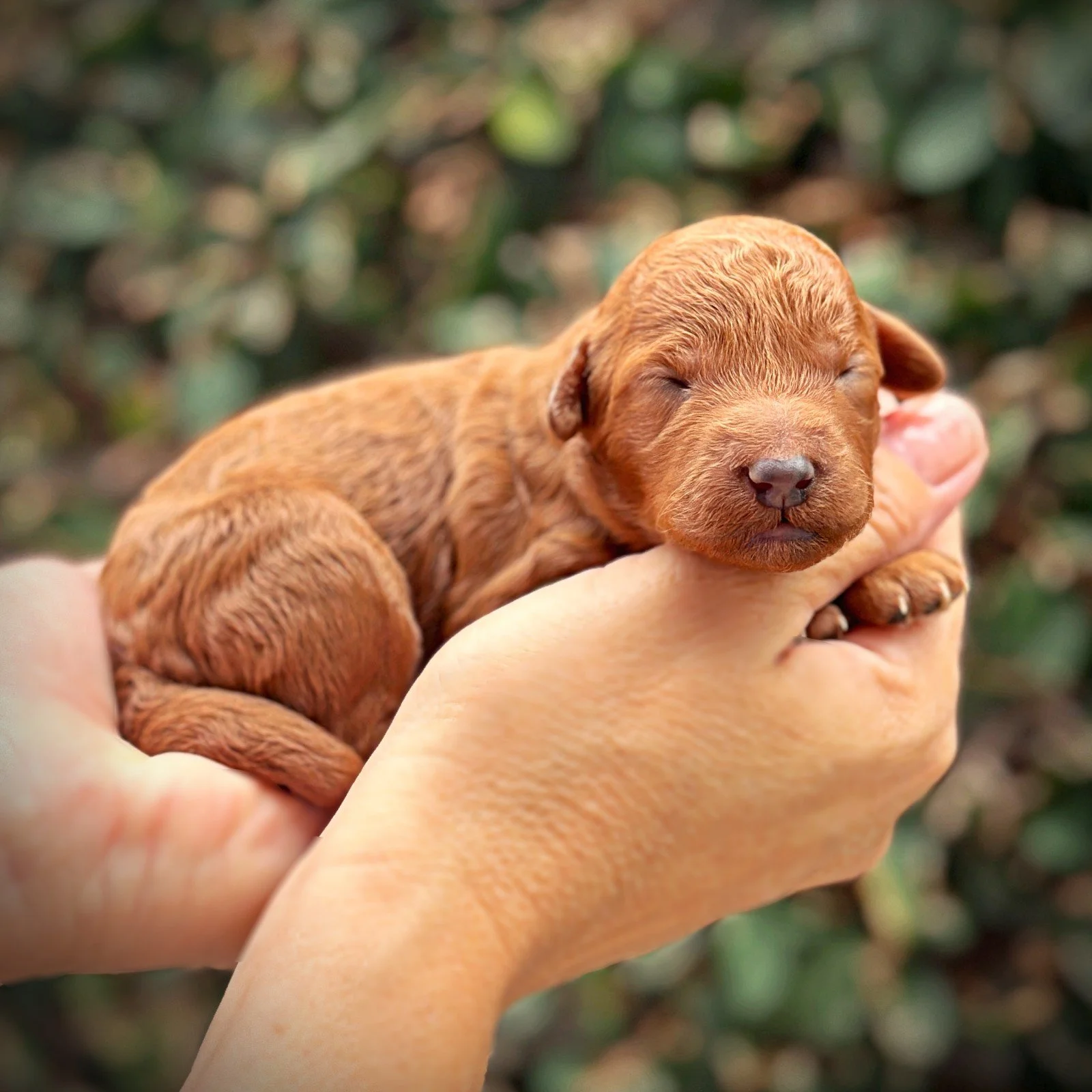 1 Week Old!