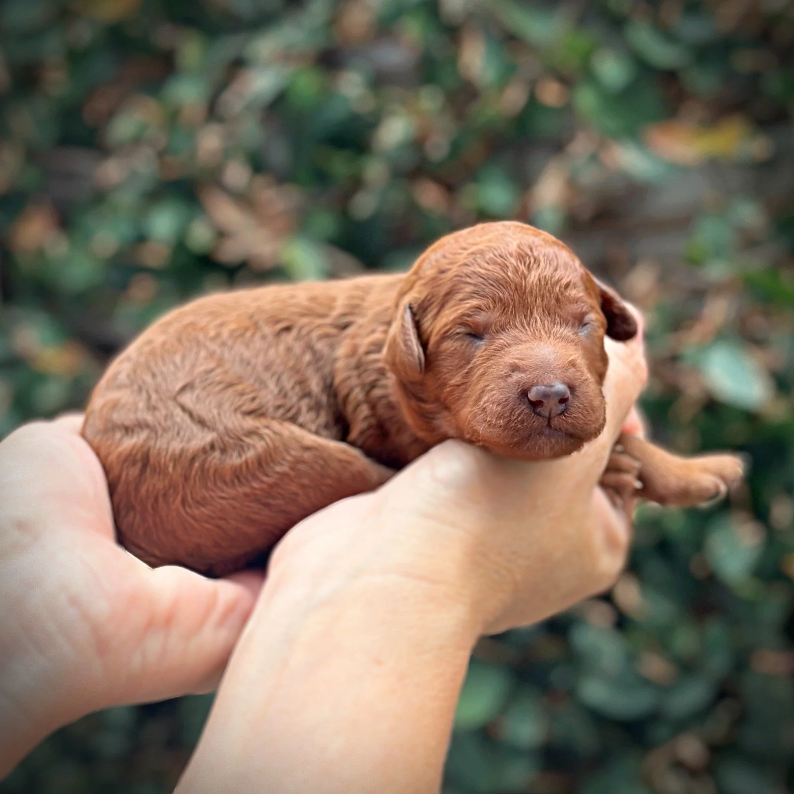 1 Week Old!