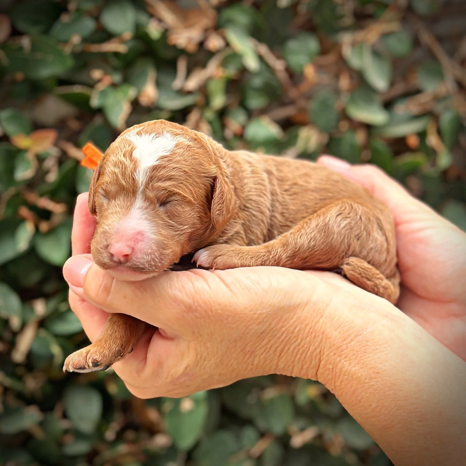 1 Week Old!