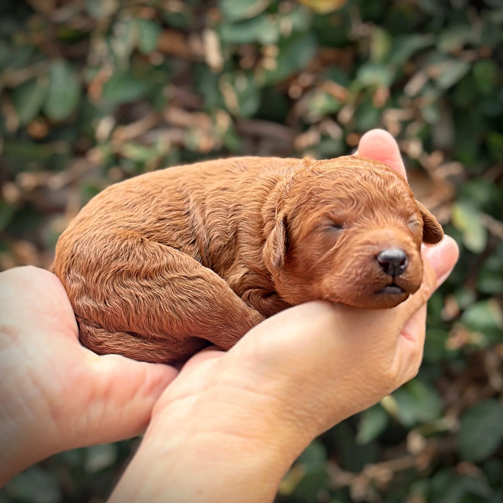 1 Week Old!
