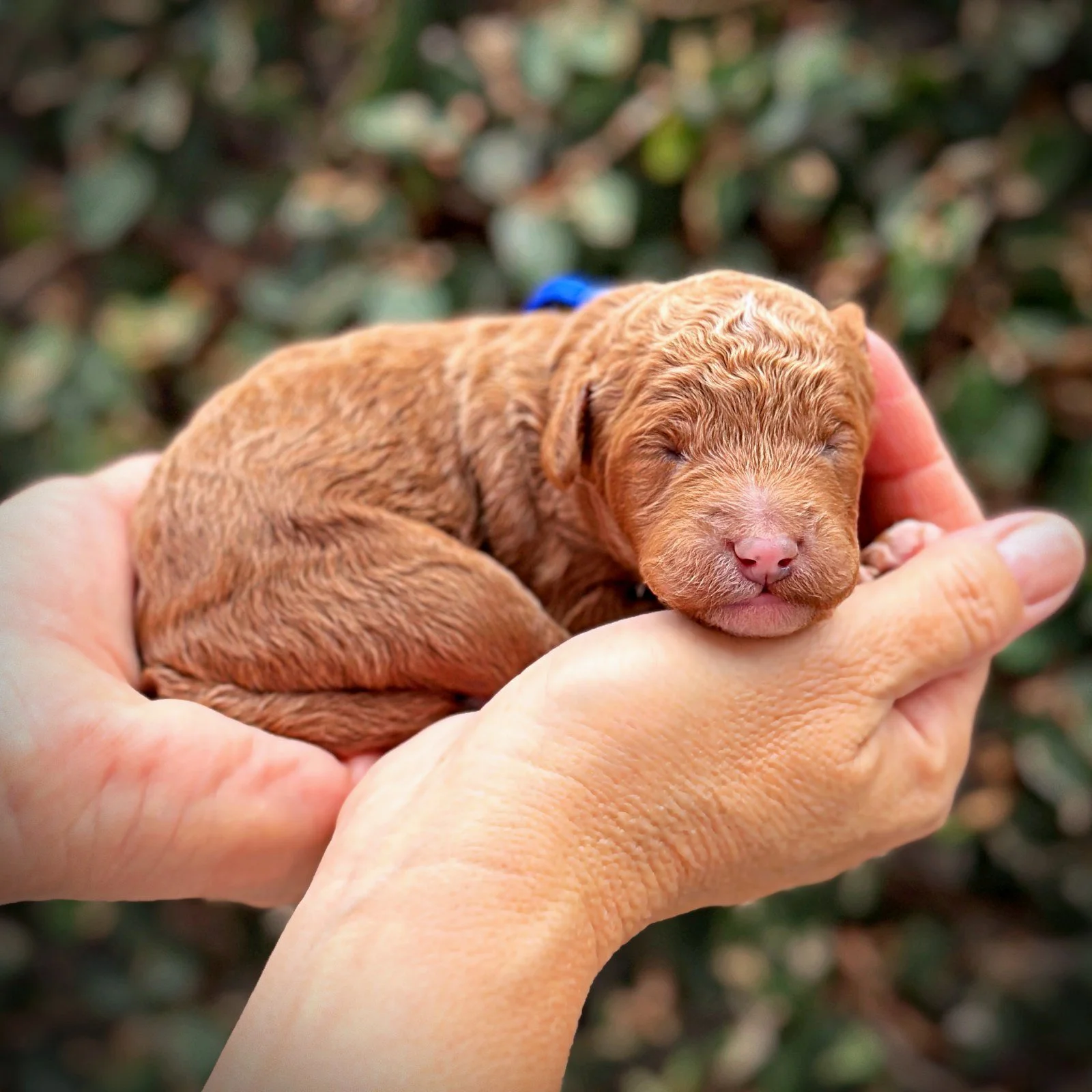 1 Week Old!