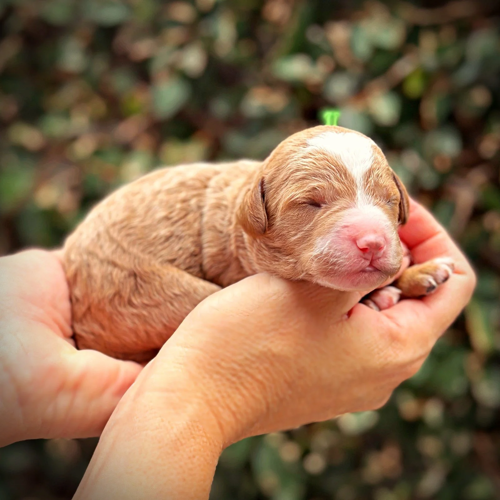 1 Week Old!