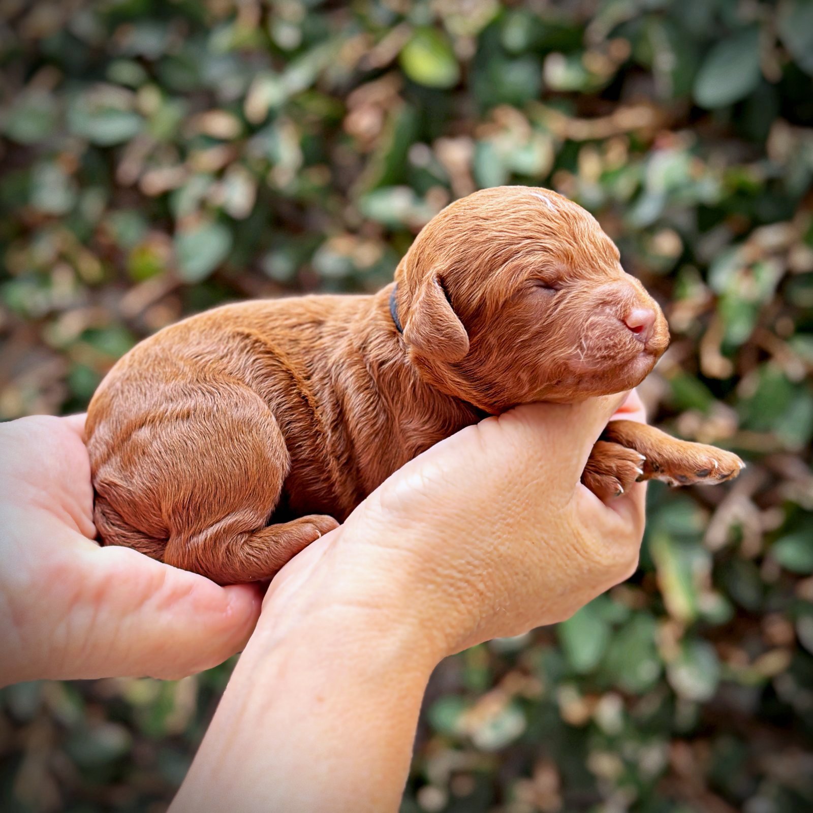 1 Week Old!