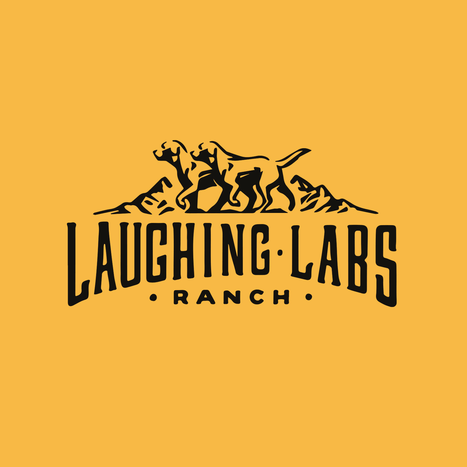 Laughing Labs Logo.jpg