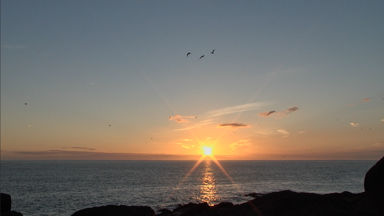 02_Cape Spear.jpg