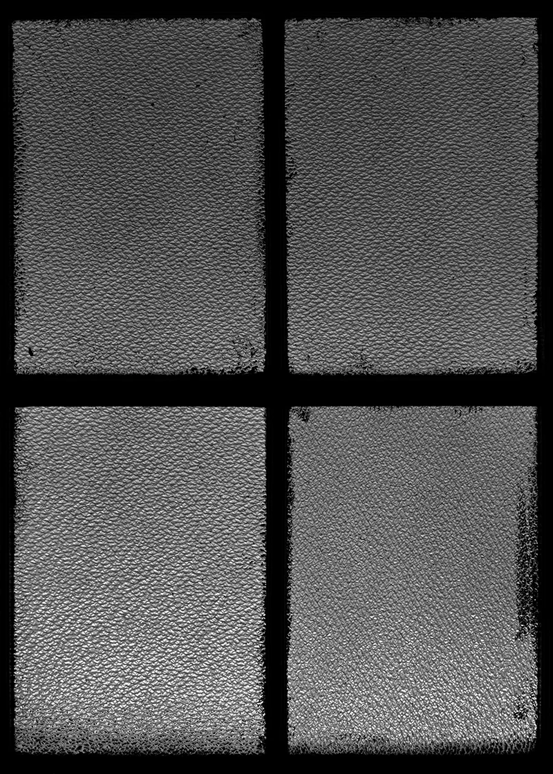 bw12.jpg