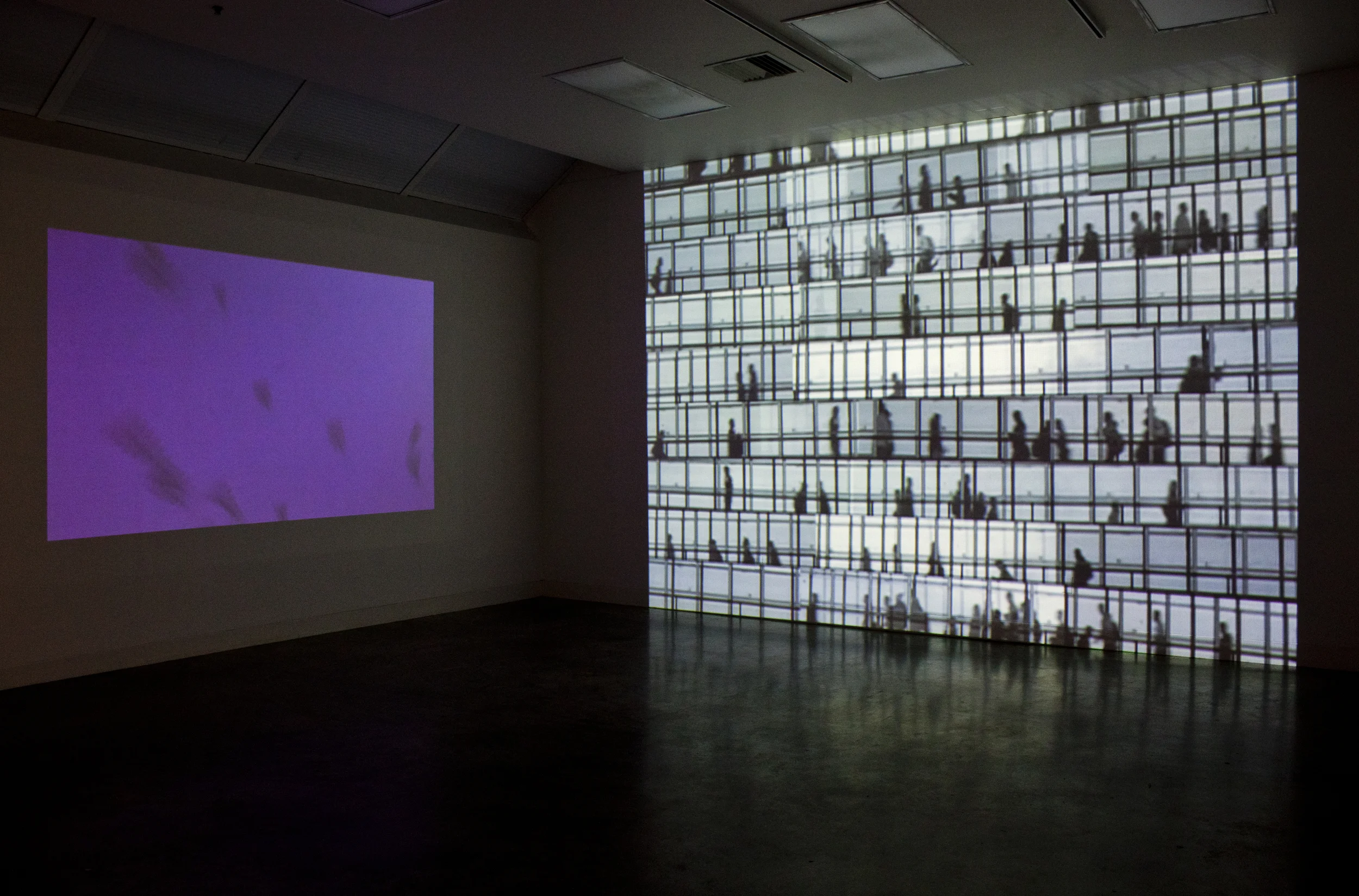 Migration, 2009/2010