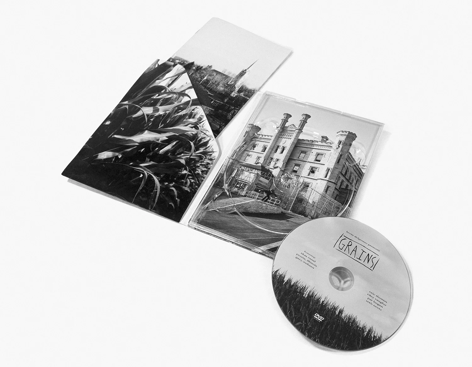 Thumbnail-GrainsVideoGrains Video3.jpg