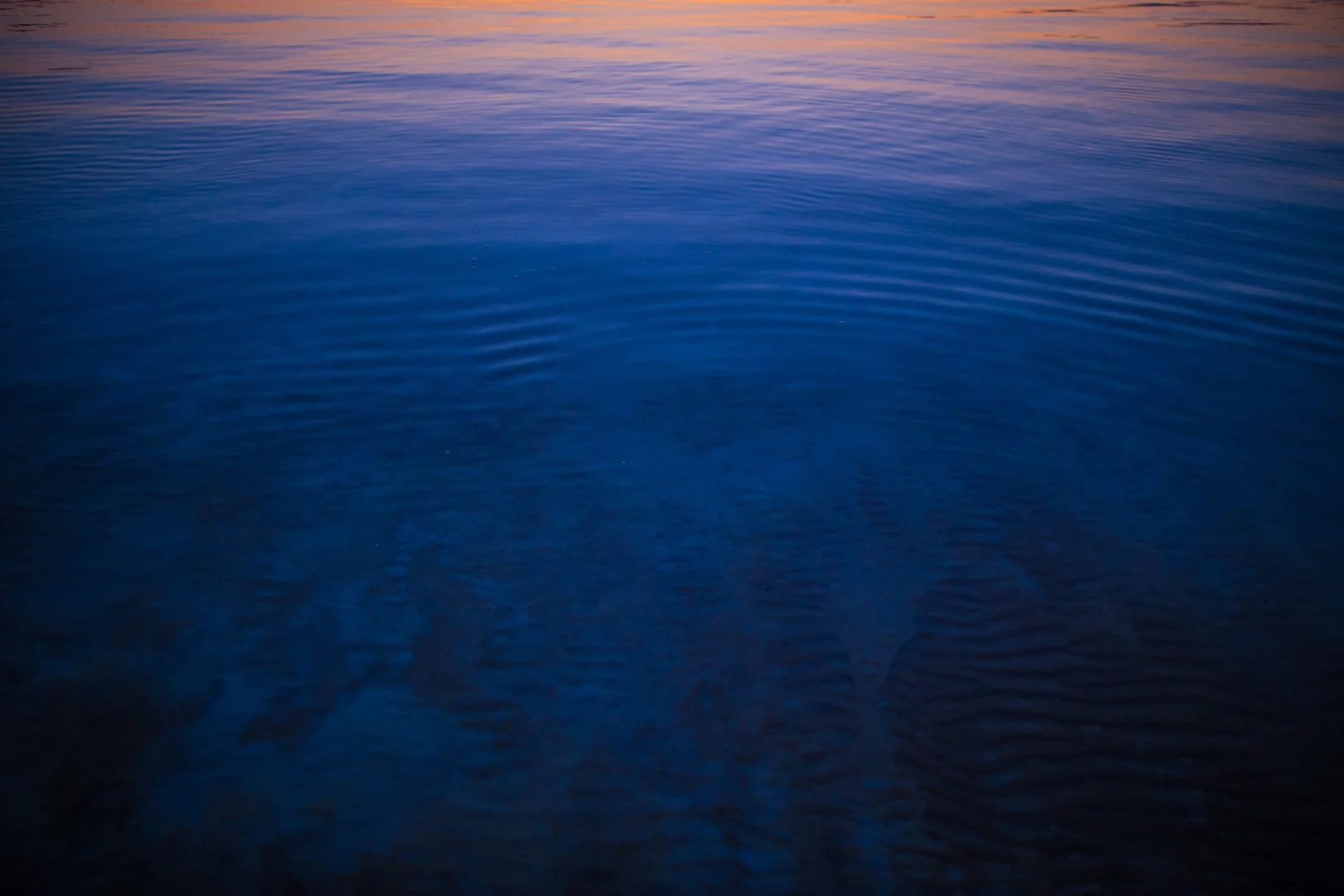israel (18 of 40).jpg