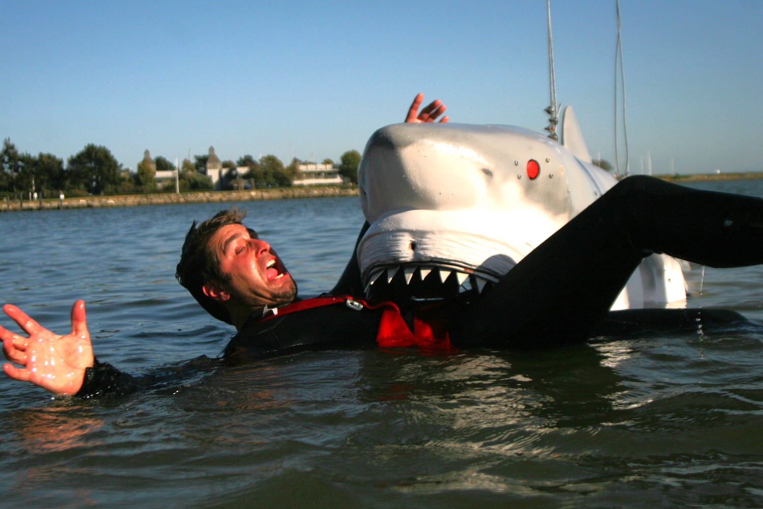 Shark Week (Mythbusters)