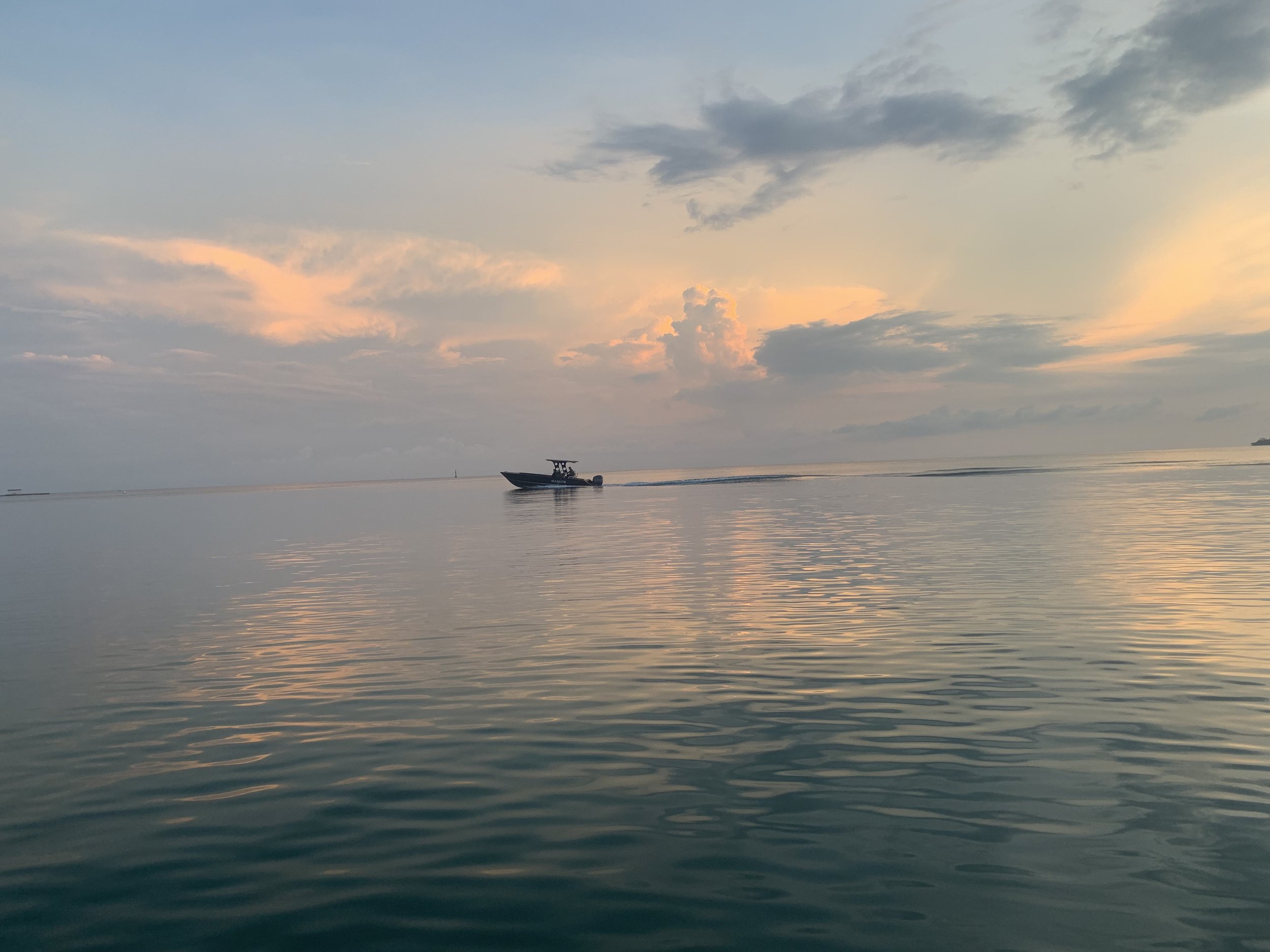 IMG_8287.jpeg