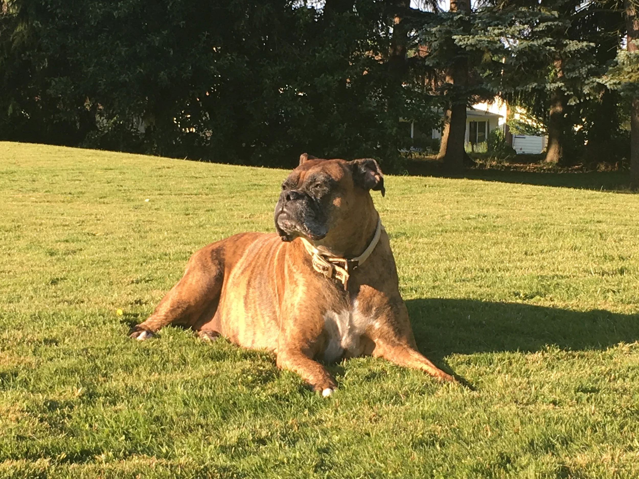 Grace in the Grass