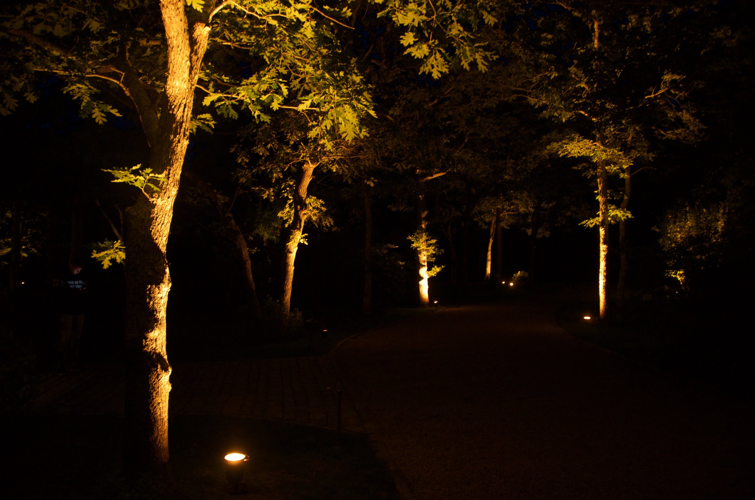 Wireless LED uplights to highlight a pathway