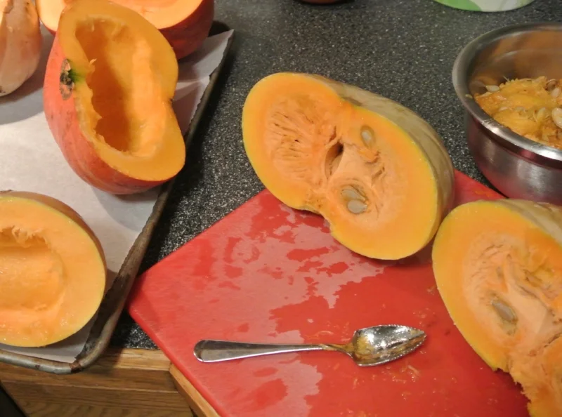 I used a cinderella pumpkin as well as a cheese wheel pumpkin. The cinderella has a more traditional pumpkin flavor. The cheese wheel was a bit more fruity and floral!