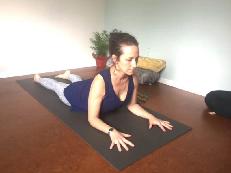 Beginner Plank Practice