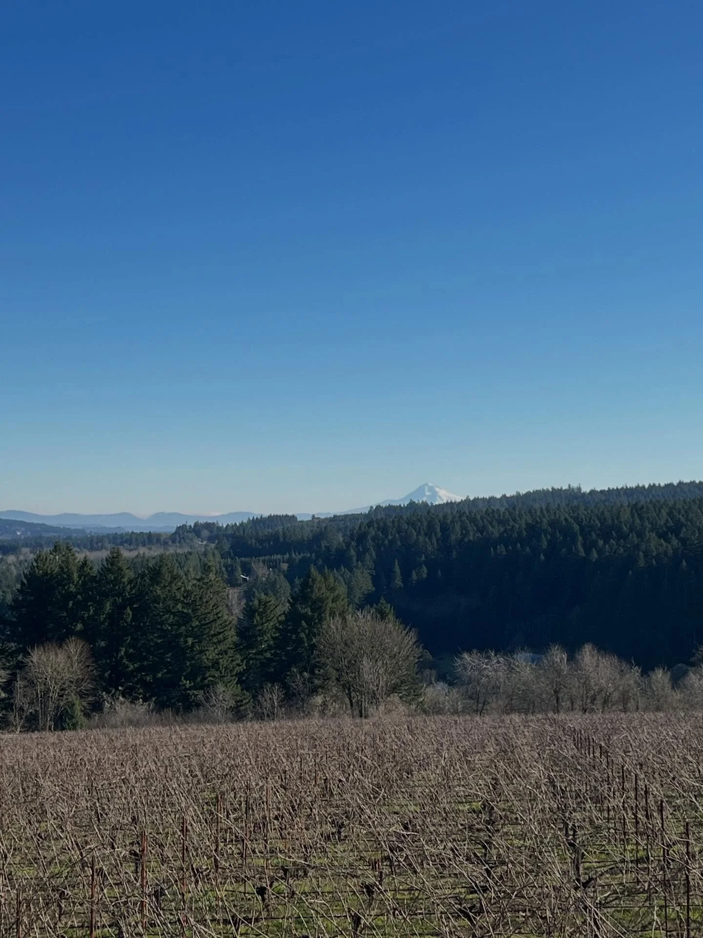 A beautiful day watching the mountains shine while practicing yoga @raptorridgewinery! Couldn&rsquo;t ask for a better day 🙏🙏. 
Come join me in February for yoga and the option of a brunch box.

Link in the bio to join February&rsquo;s class.
#nour