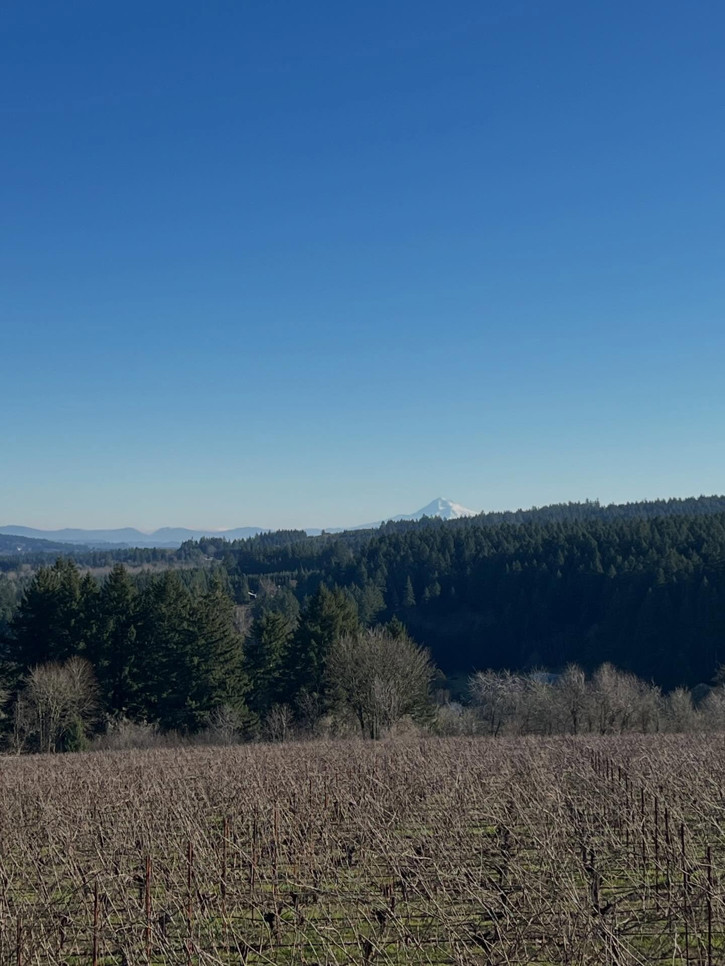 A beautiful day watching the mountains shine while practicing yoga @raptorridgewinery! Couldn&rsquo;t ask for a better day 🙏🙏. 
Come join me in February for yoga and the option of a brunch box.

Link in the bio to join February&rsquo;s class.
#nour