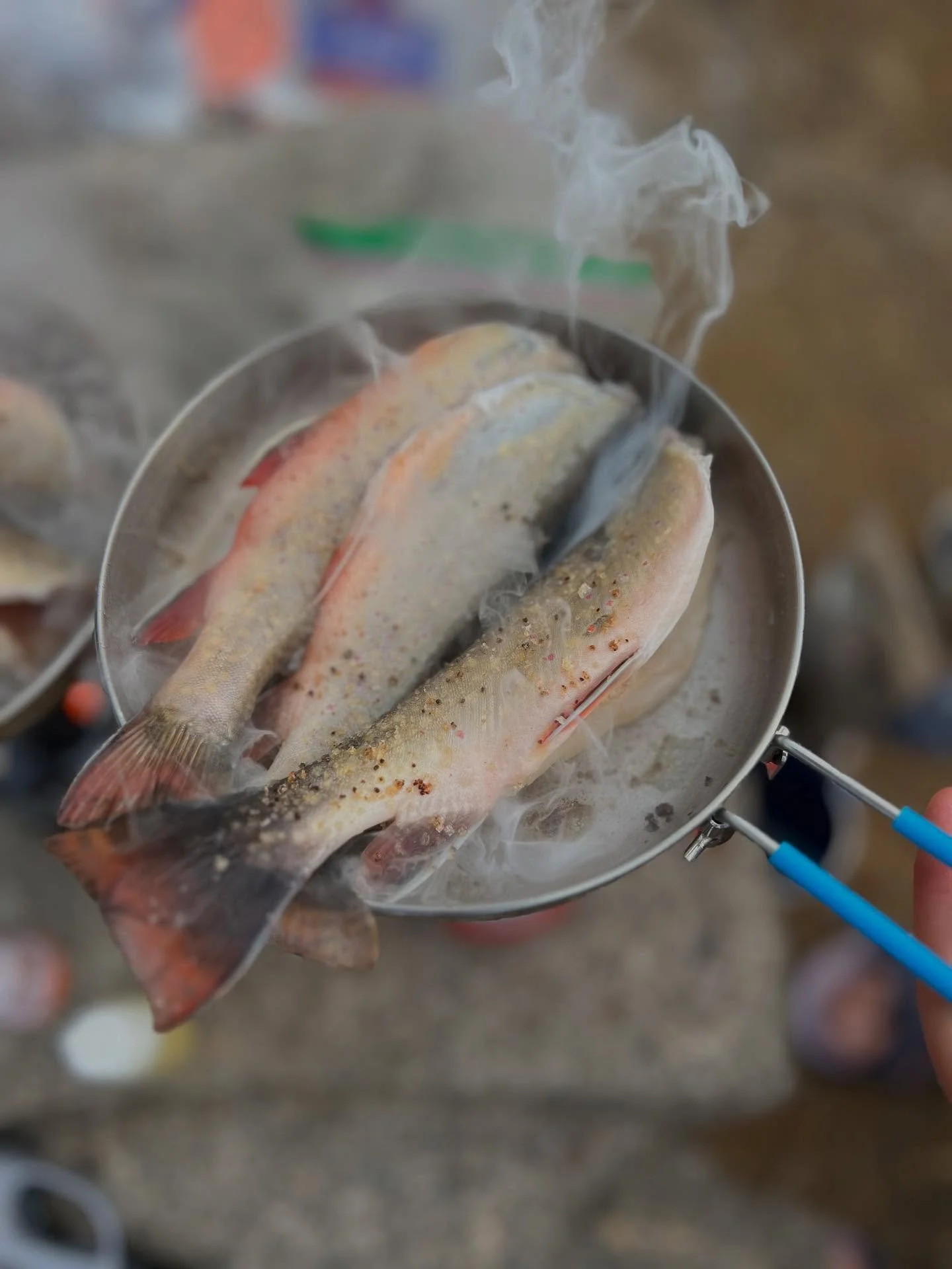 Backpacking, fishing and good food! Great way to end the summer! 🎣⛰️ 

#nourishmentfoodandyoga #eatrealfood
