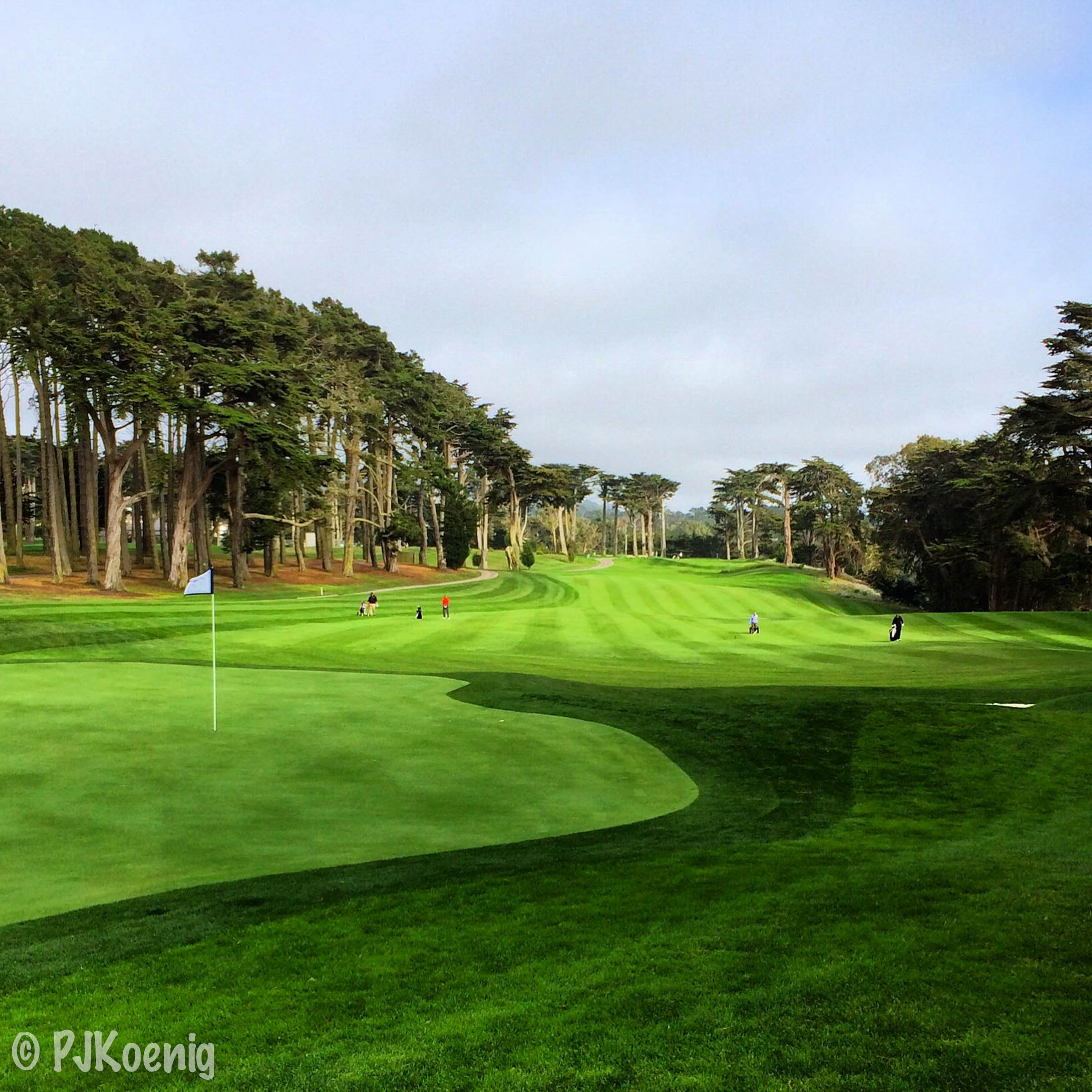 Harding Park Golf Course1-3.jpg