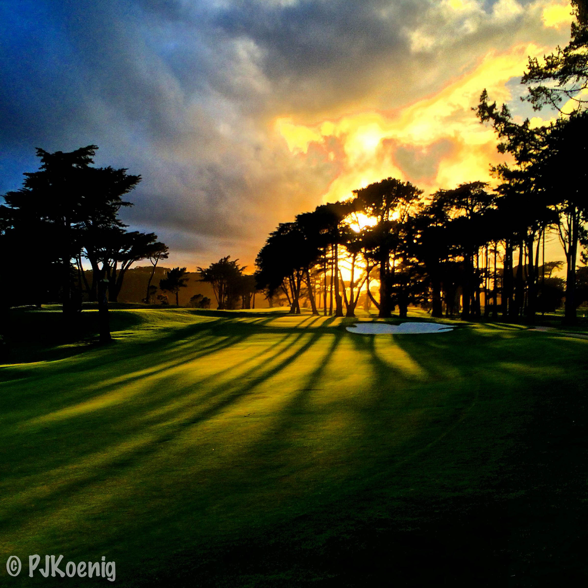 Harding Park Golf Course1-2.jpg