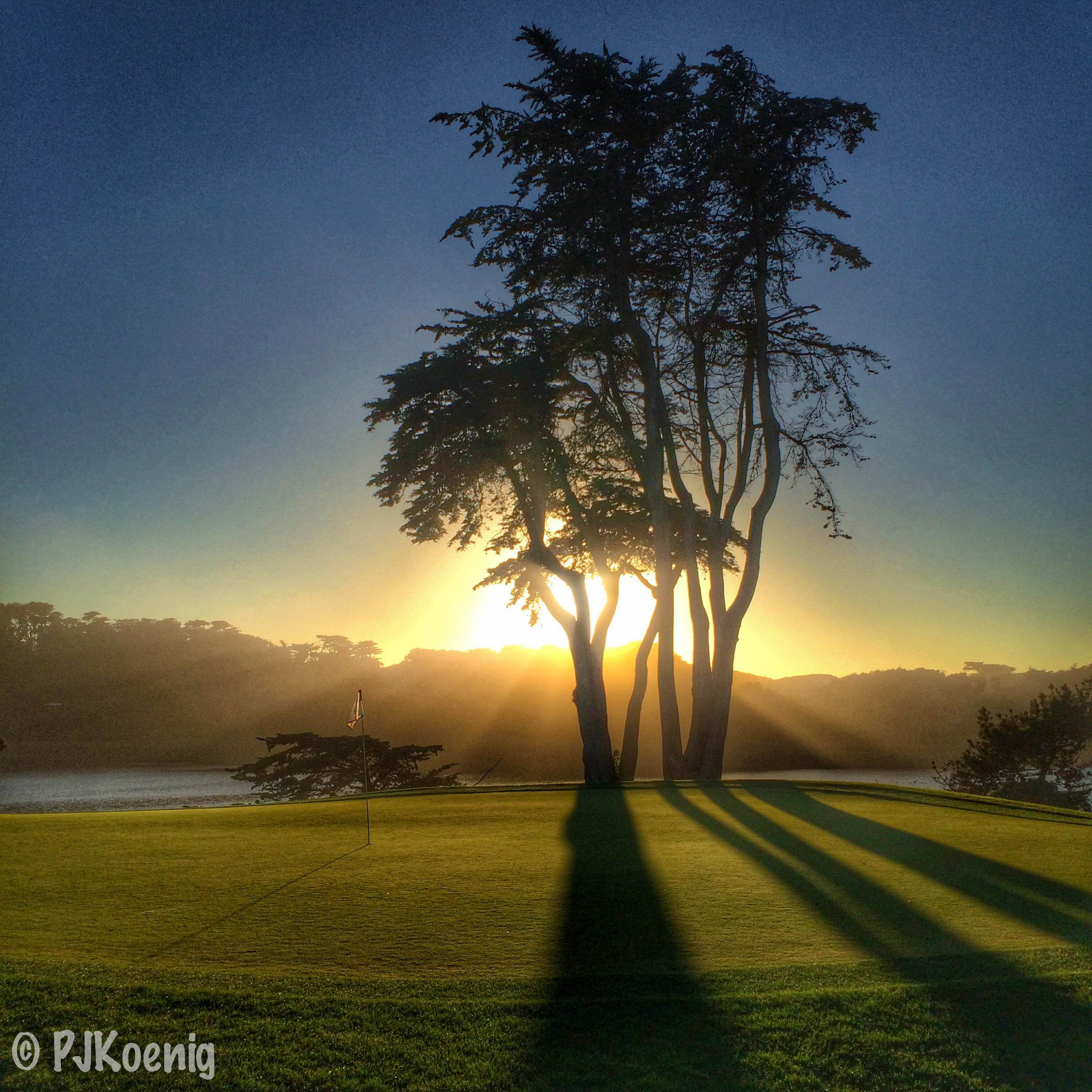 Harding Park Golf Course1-5.jpg