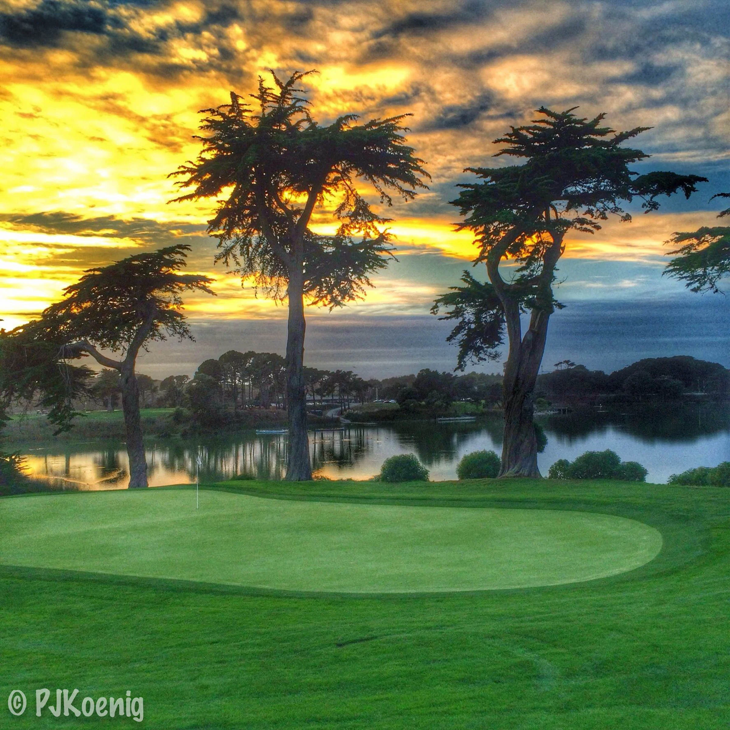 Harding Park Golf Course1-7.jpg