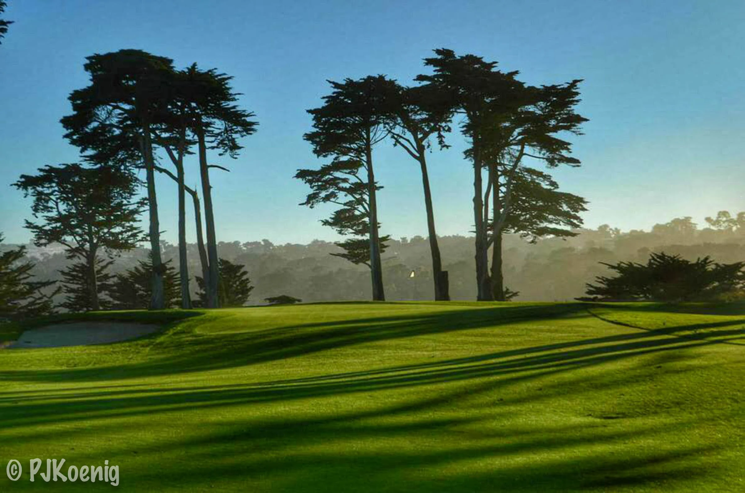 Harding Park Golf Course1-9.jpg
