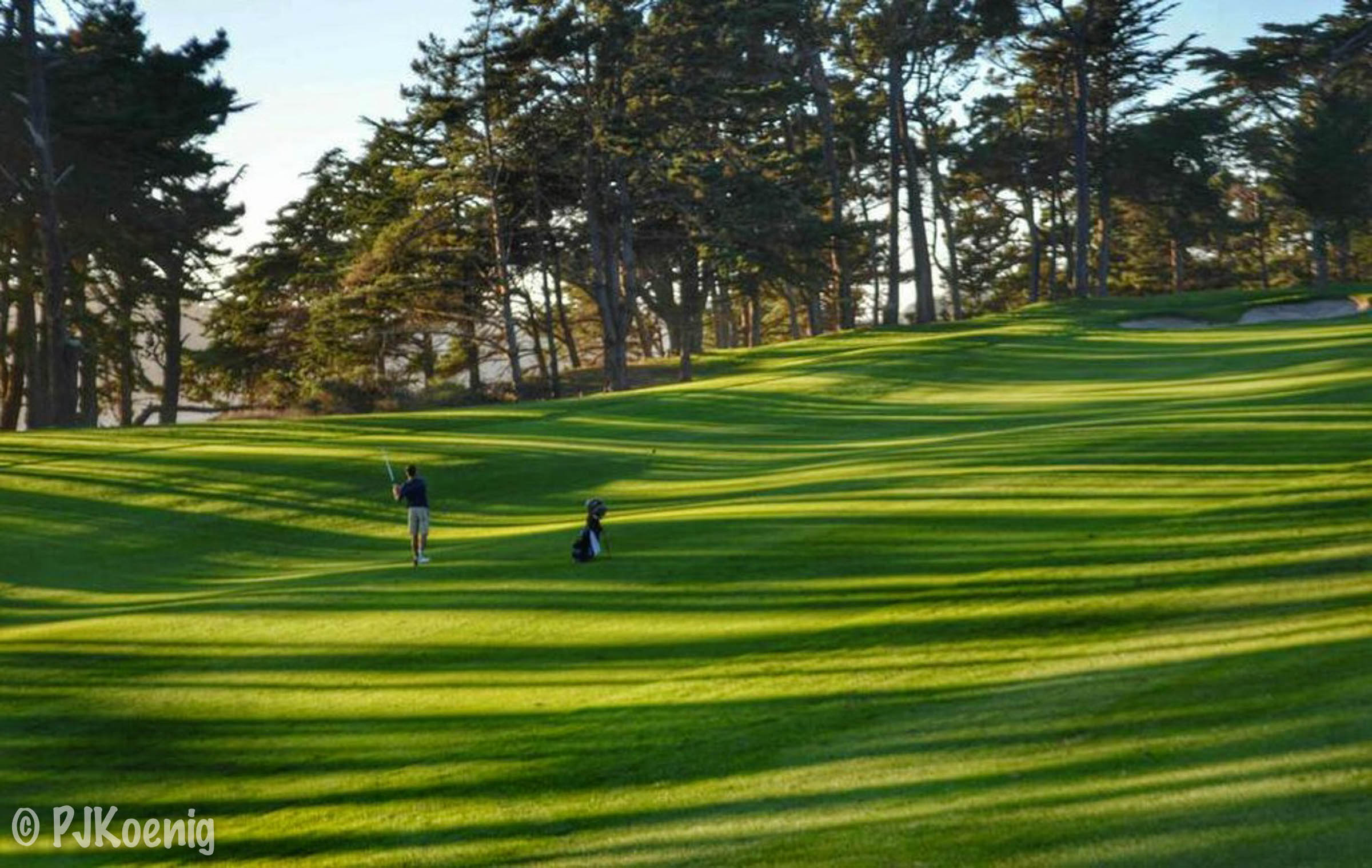 Harding Park Golf Course1-10.jpg