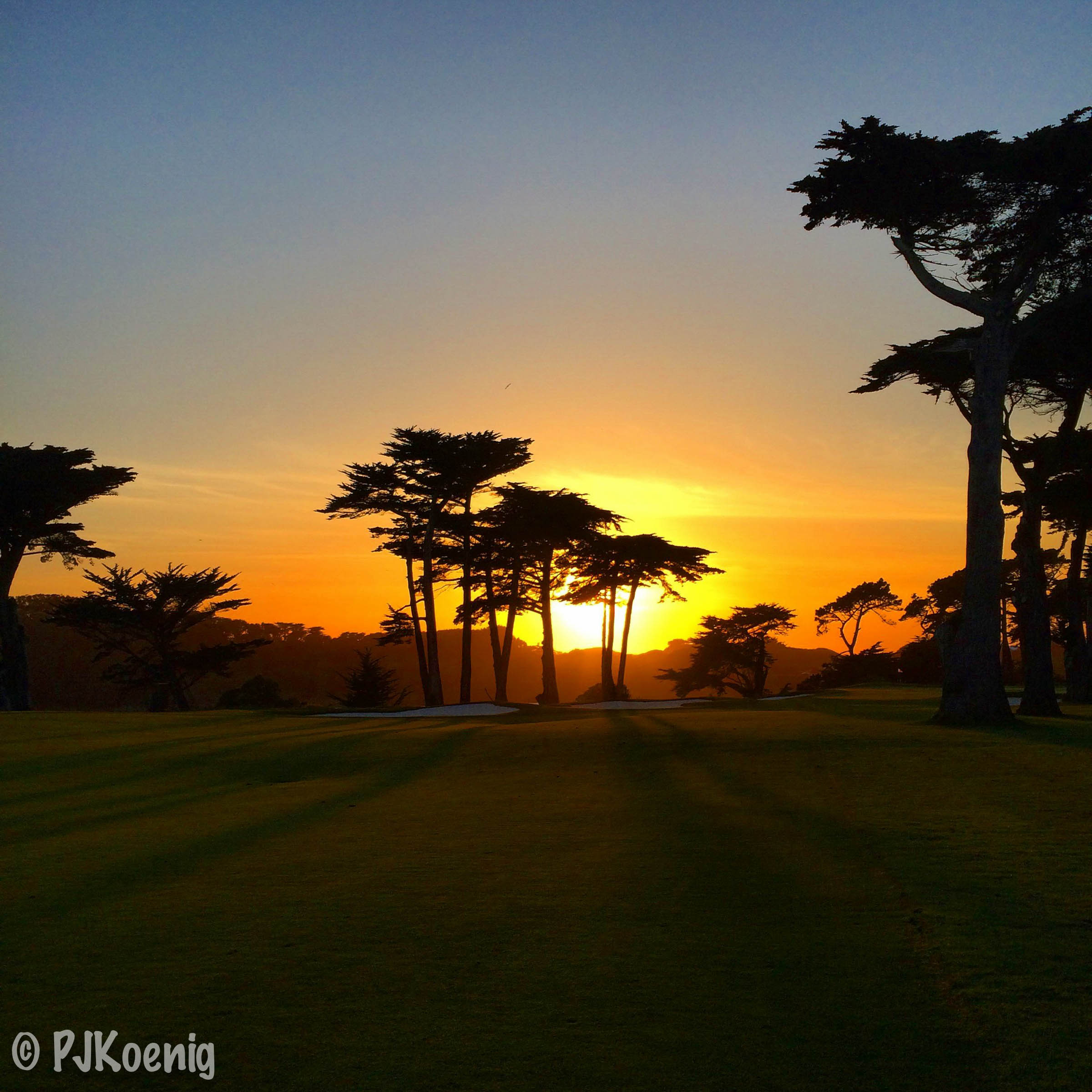 Harding Park Golf Course1.jpg