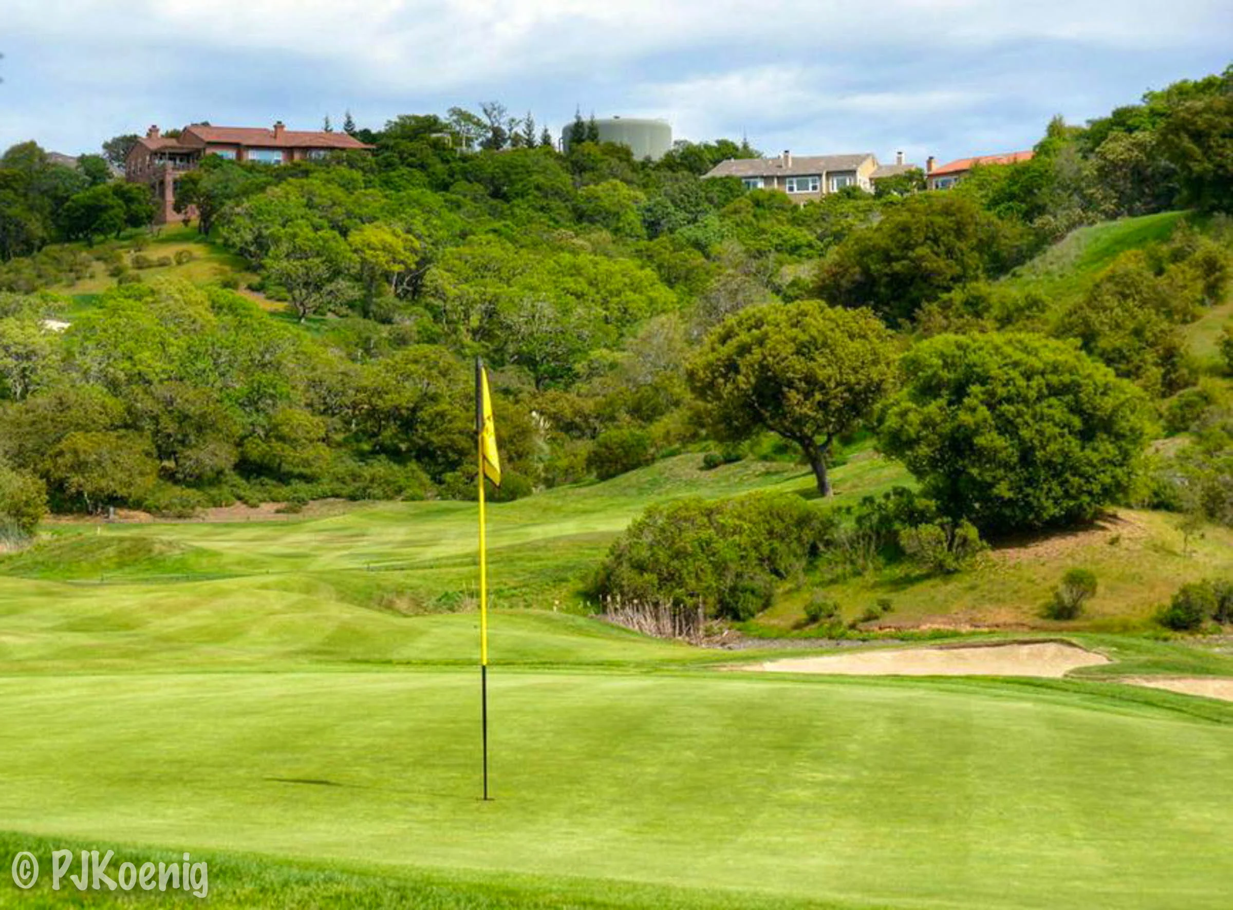 Stone Tree Golf Club1-4.jpg