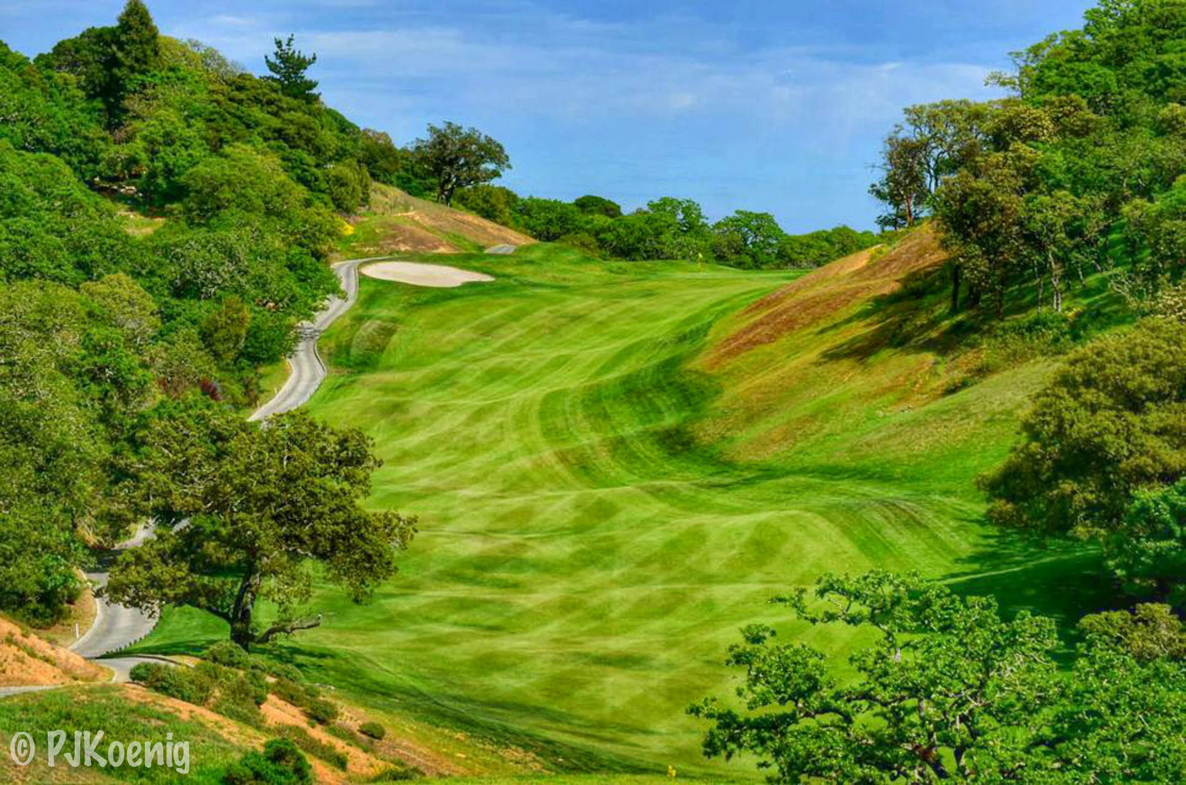 Stone Tree Golf Club1-6.jpg