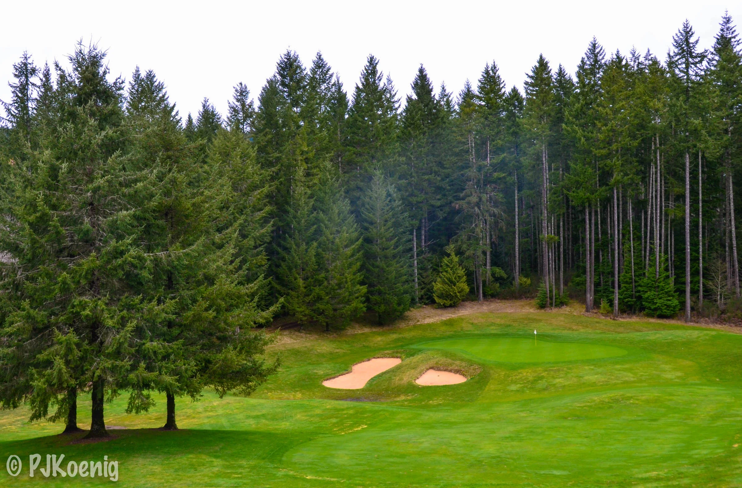 Gold Mountain Golf Club -  PJKoenig Golf Photography