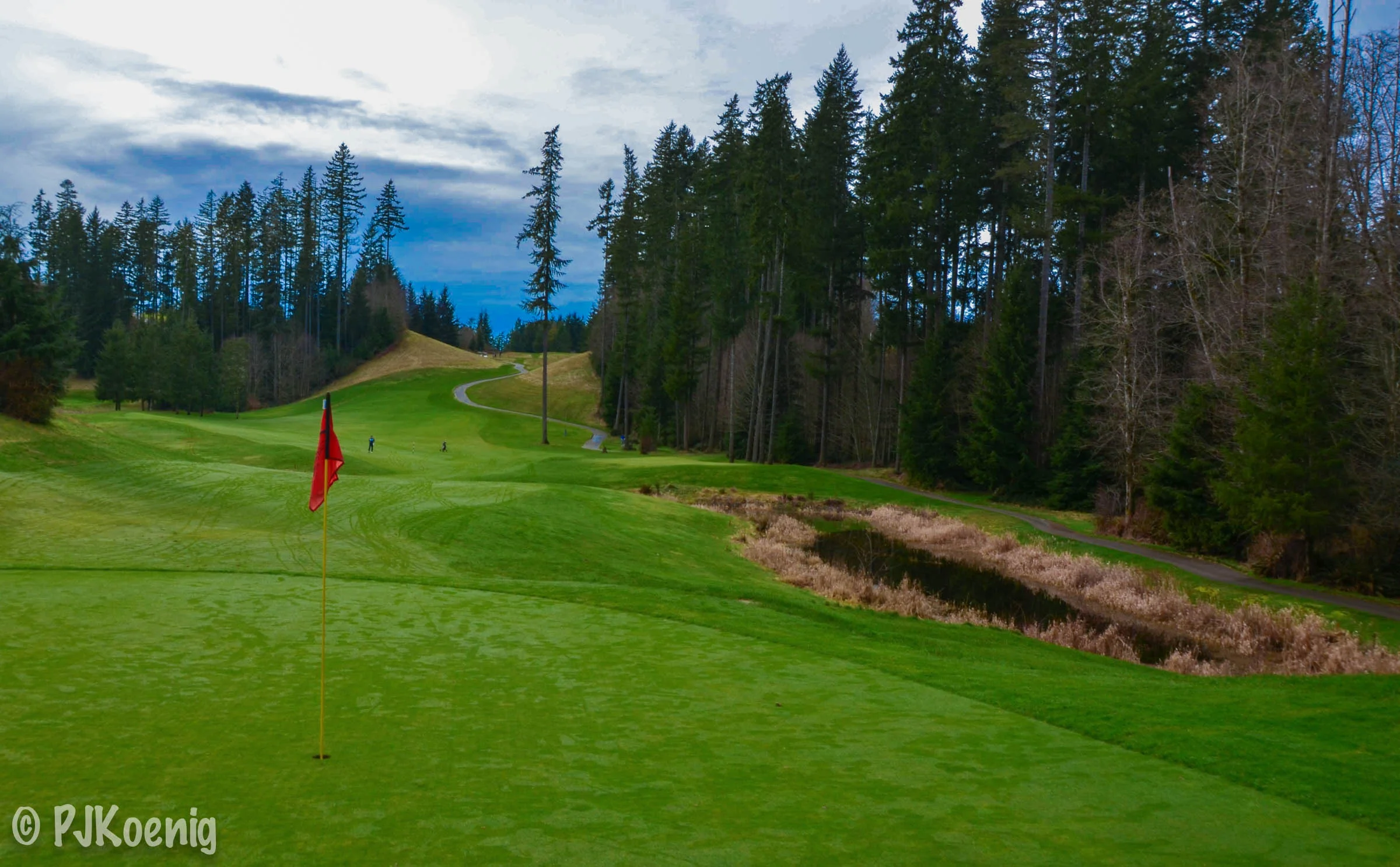 Gold Mountain Golf Club -  PJKoenig Golf Photography