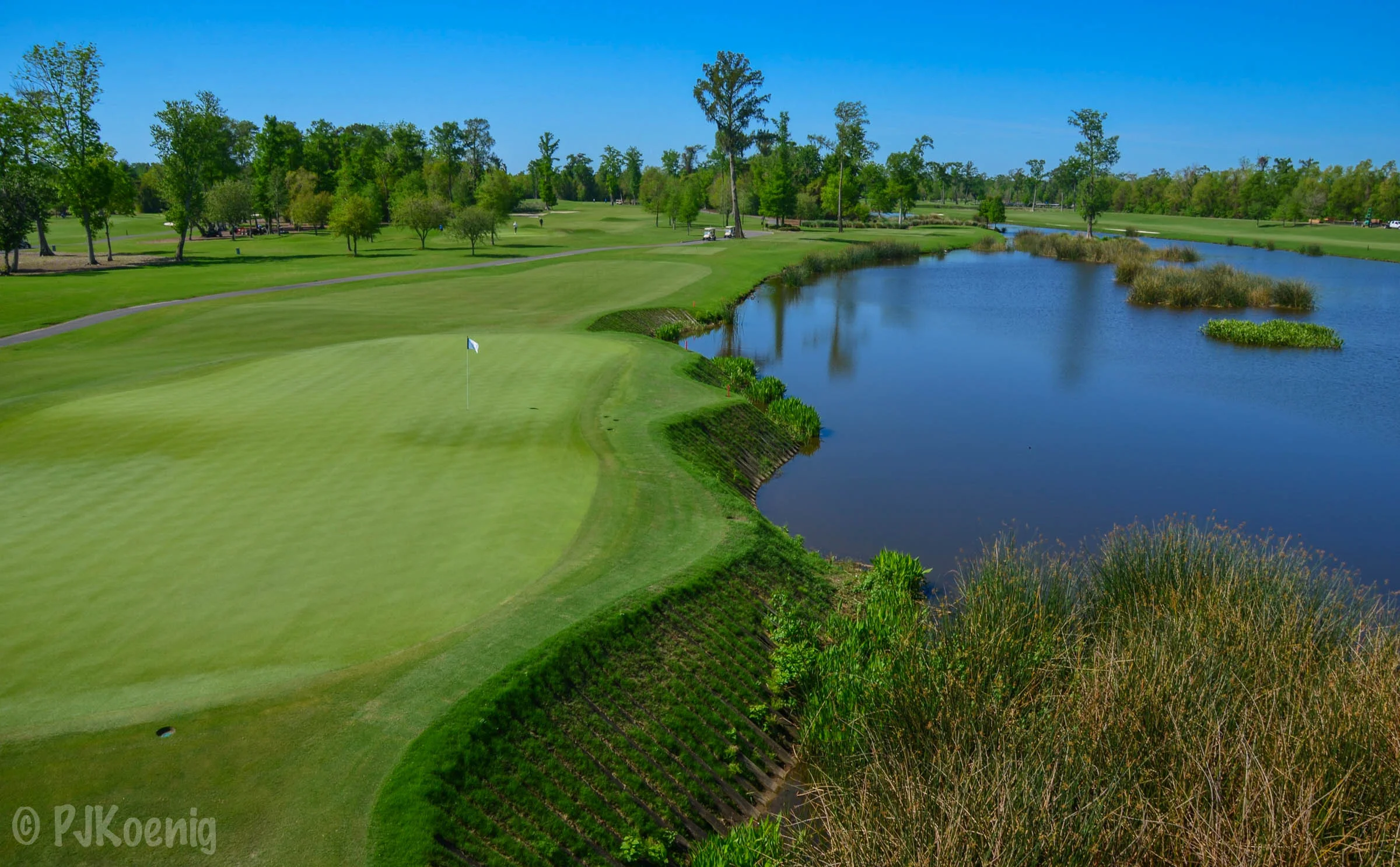 TPC Louisiana1-7.jpg