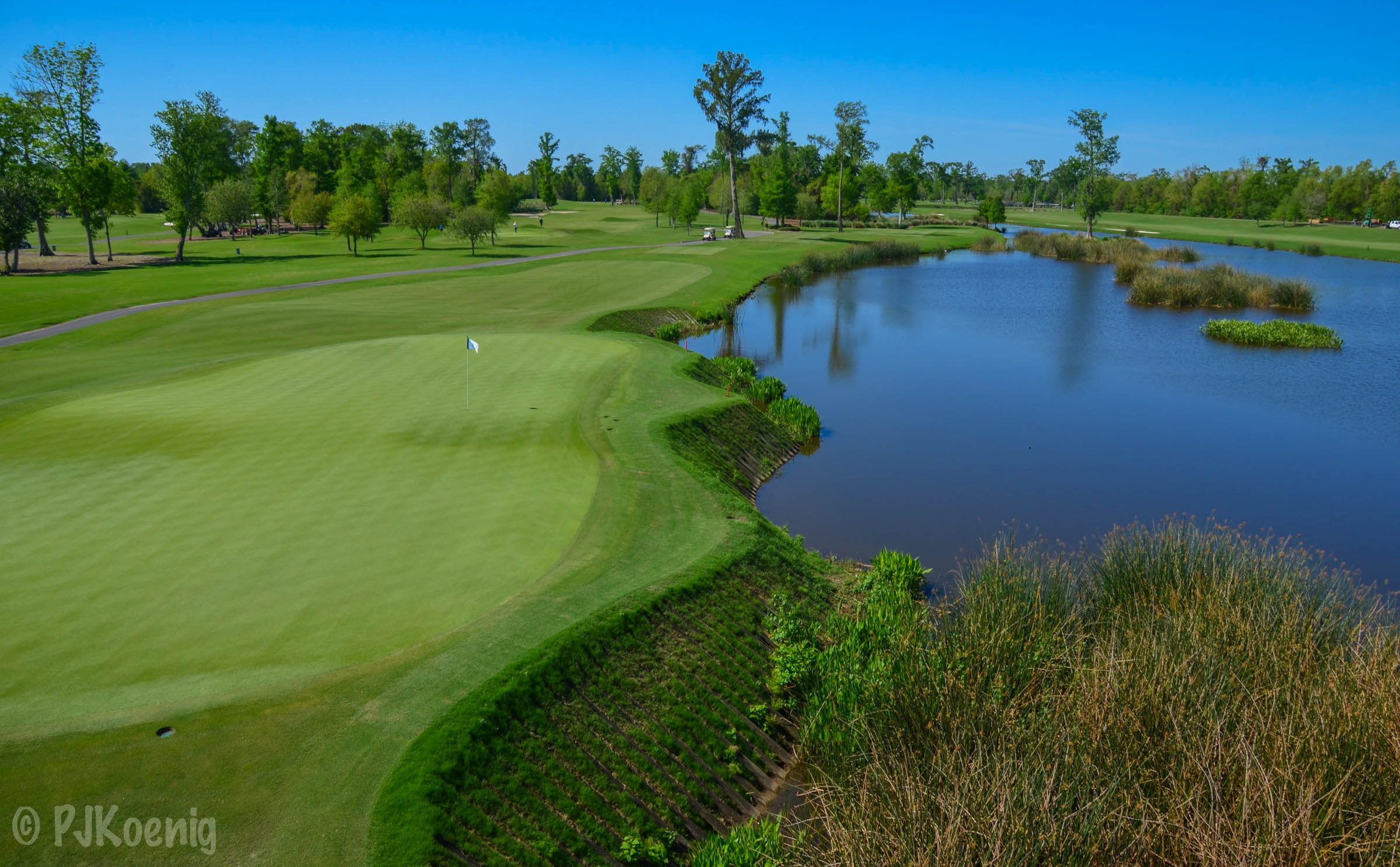TPC Louisiana1-7.jpg