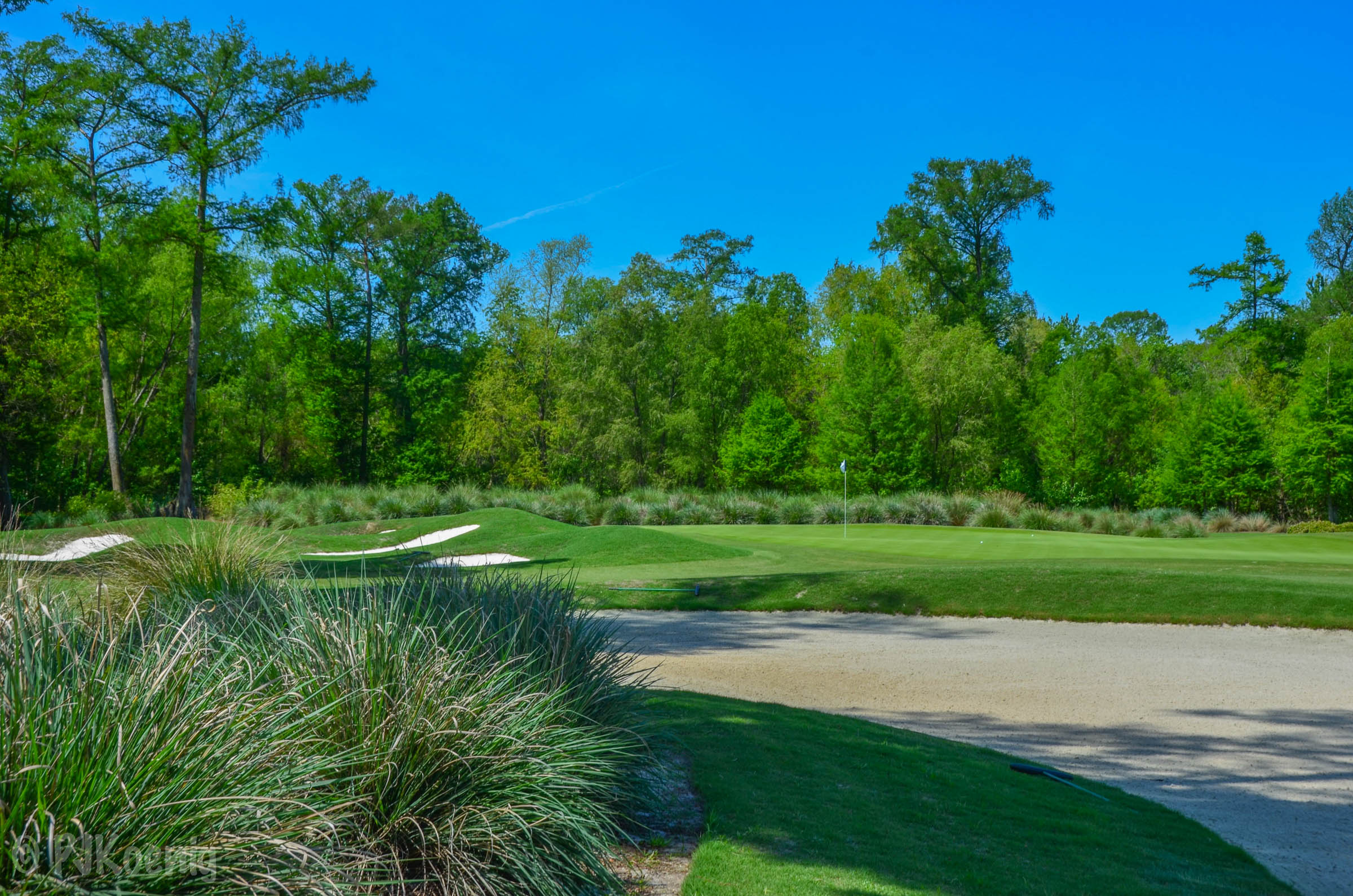 TPC Louisiana1-8.jpg