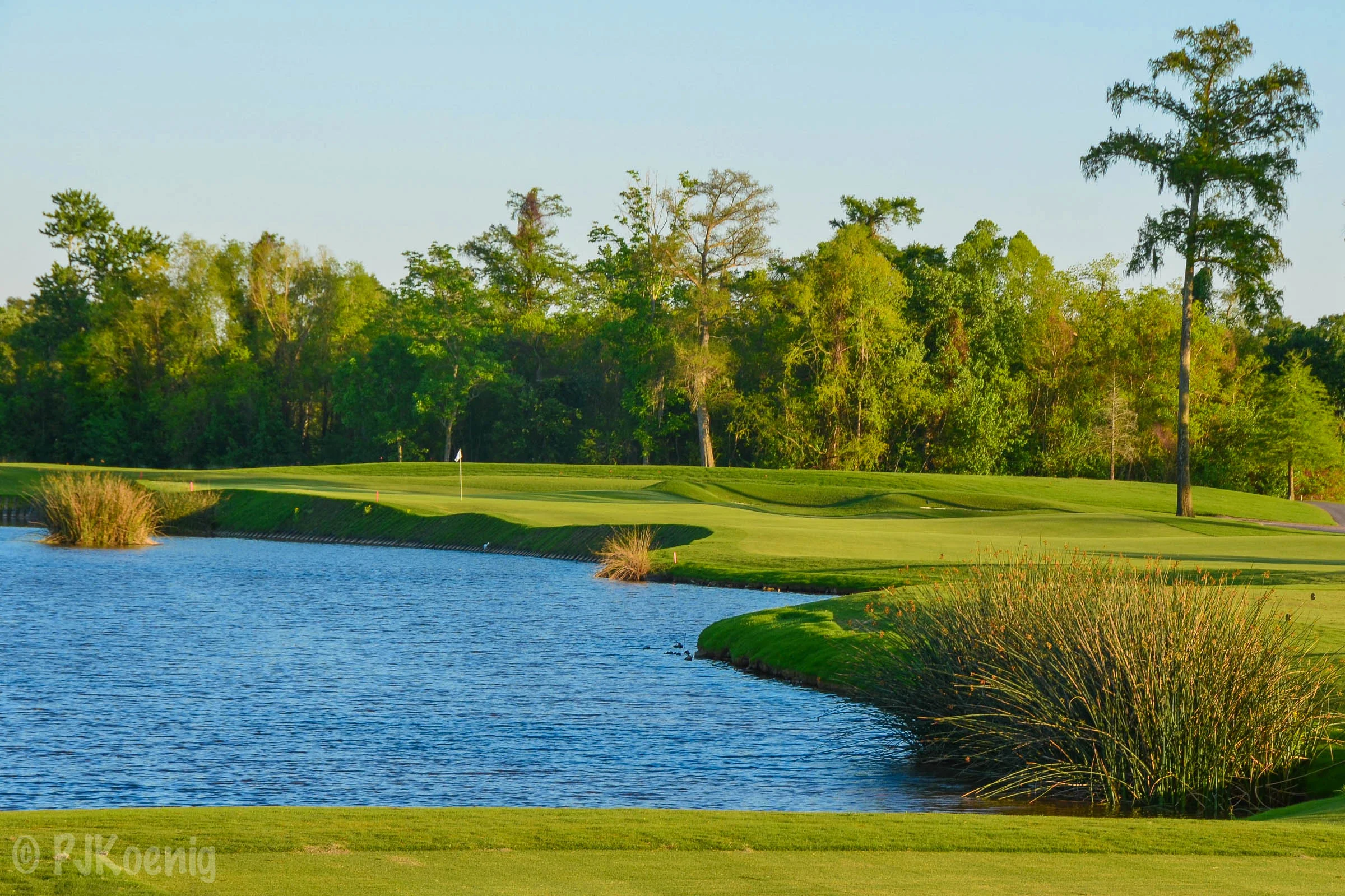 TPC Louisiana1-18.jpg