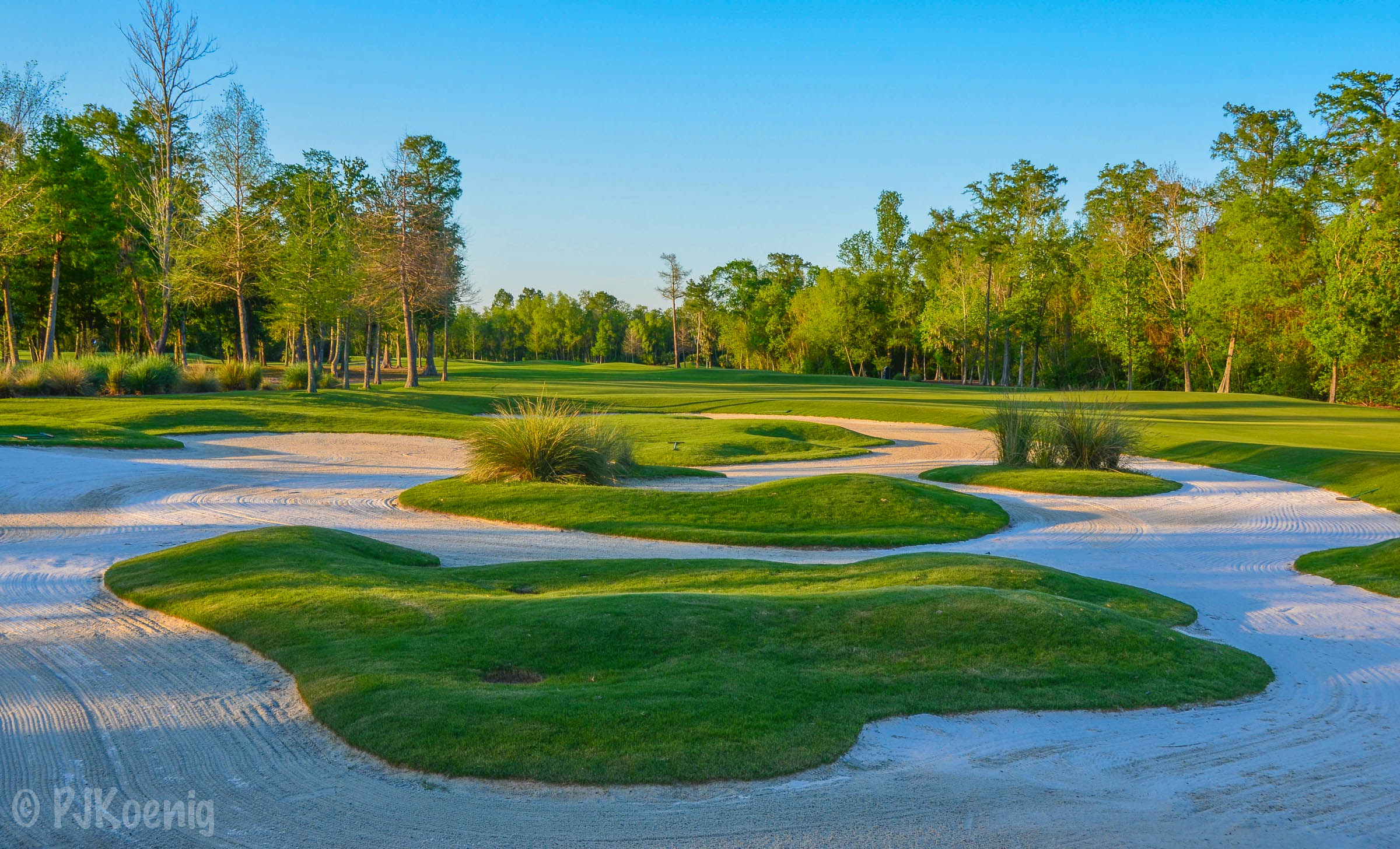 TPC Louisiana1-21.jpg