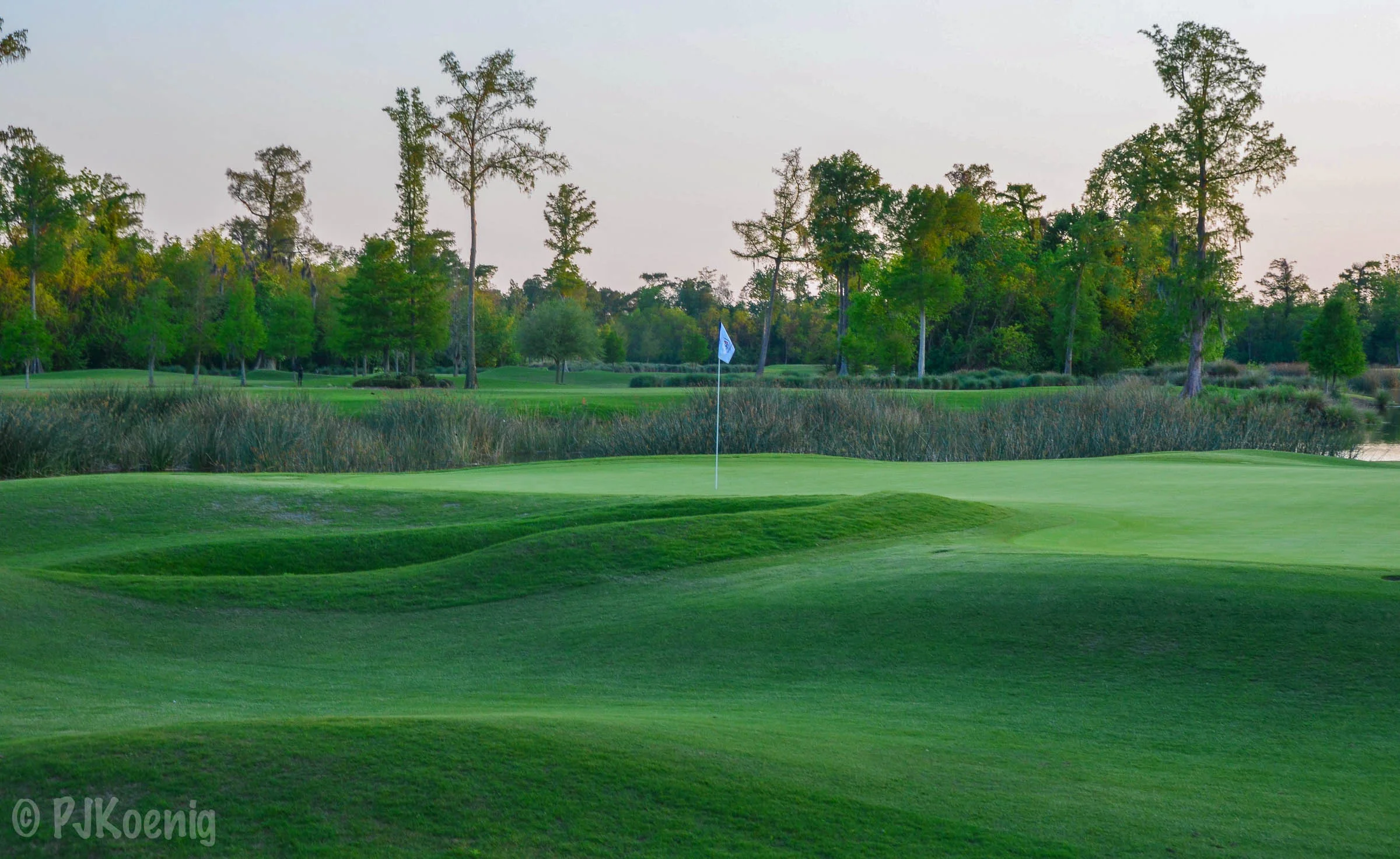 TPC Louisiana1-25.jpg
