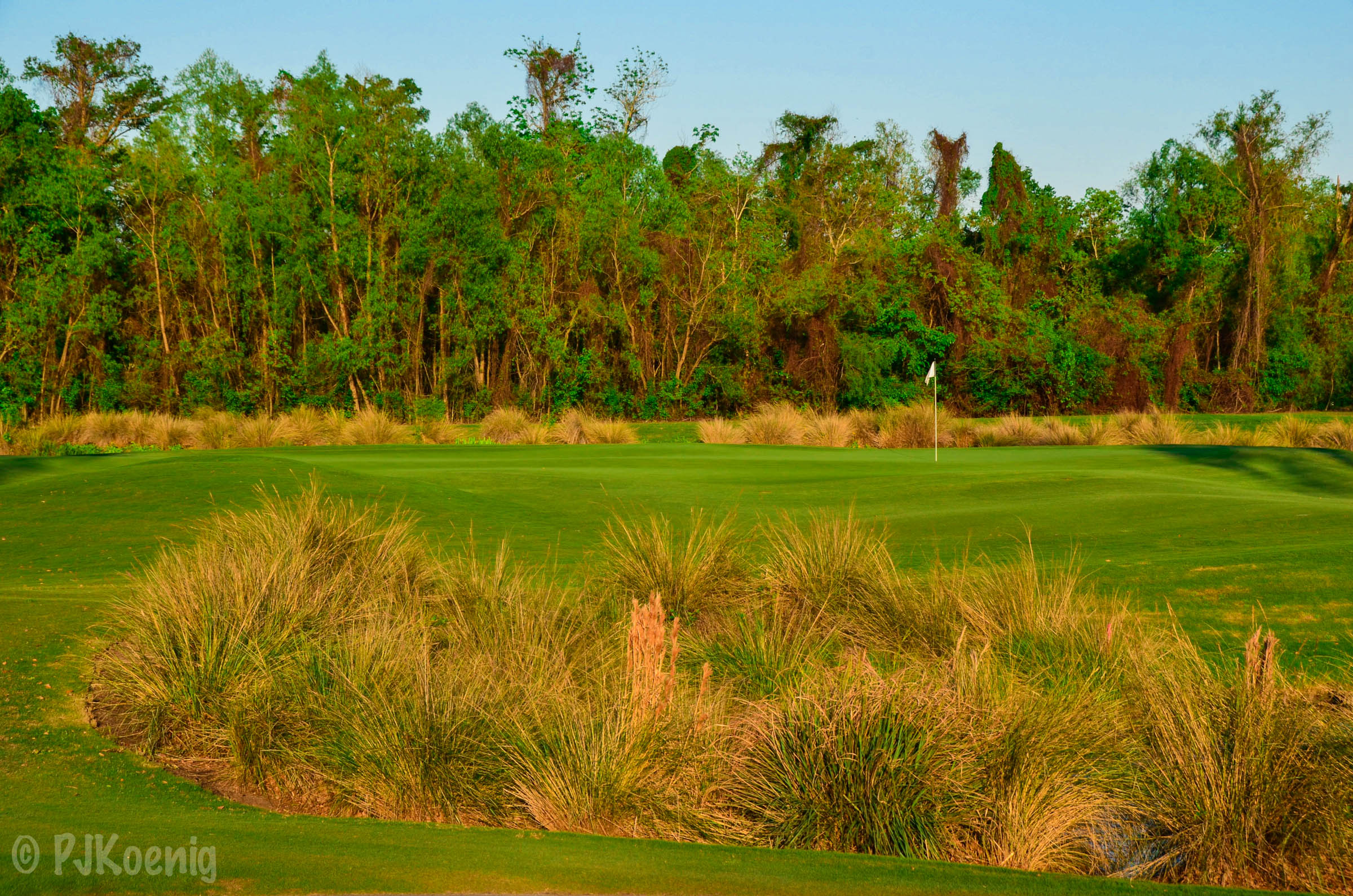 TPC Louisiana1.jpg